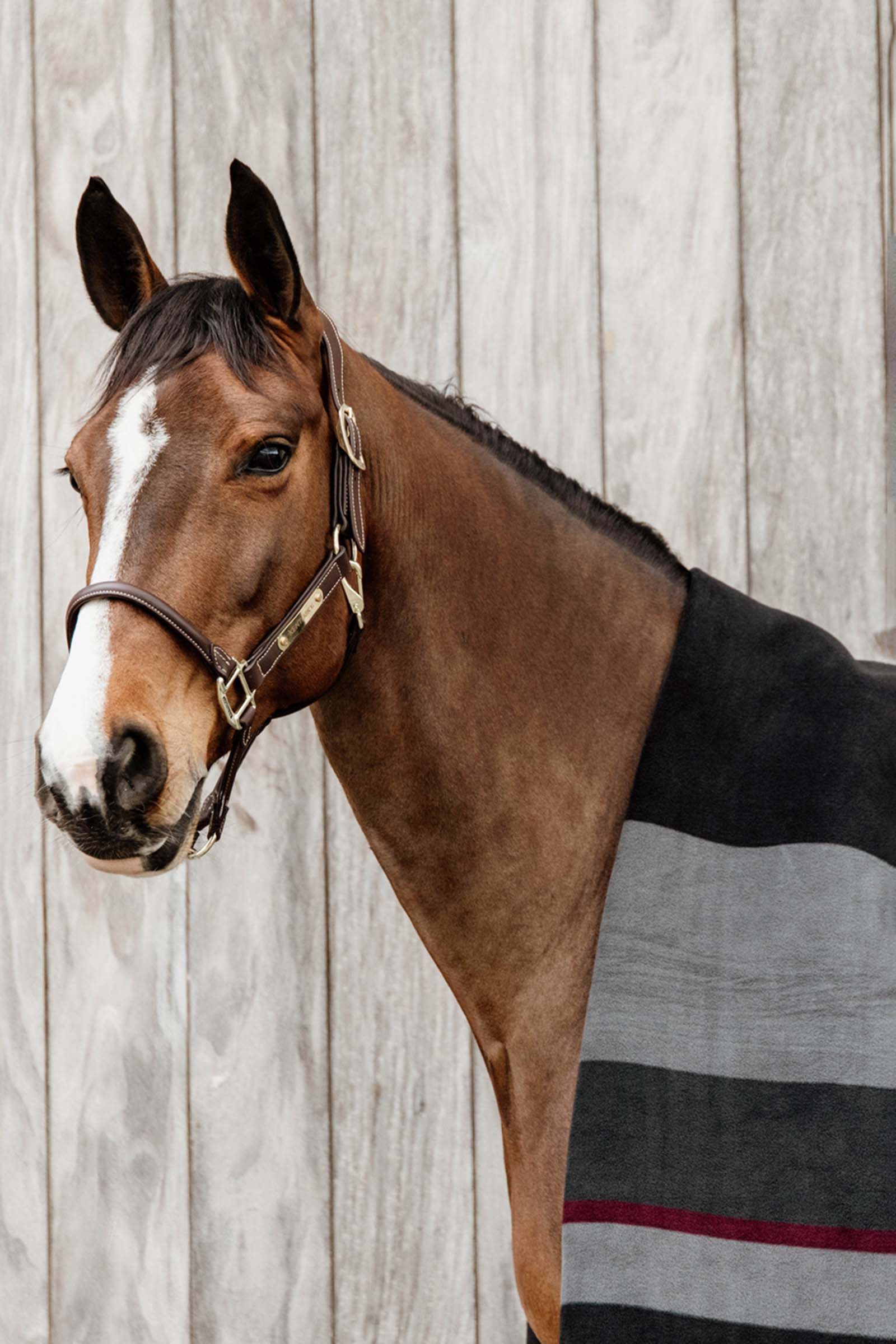 Kentucky Horsewear Heavy Fleeced&aelig;kken