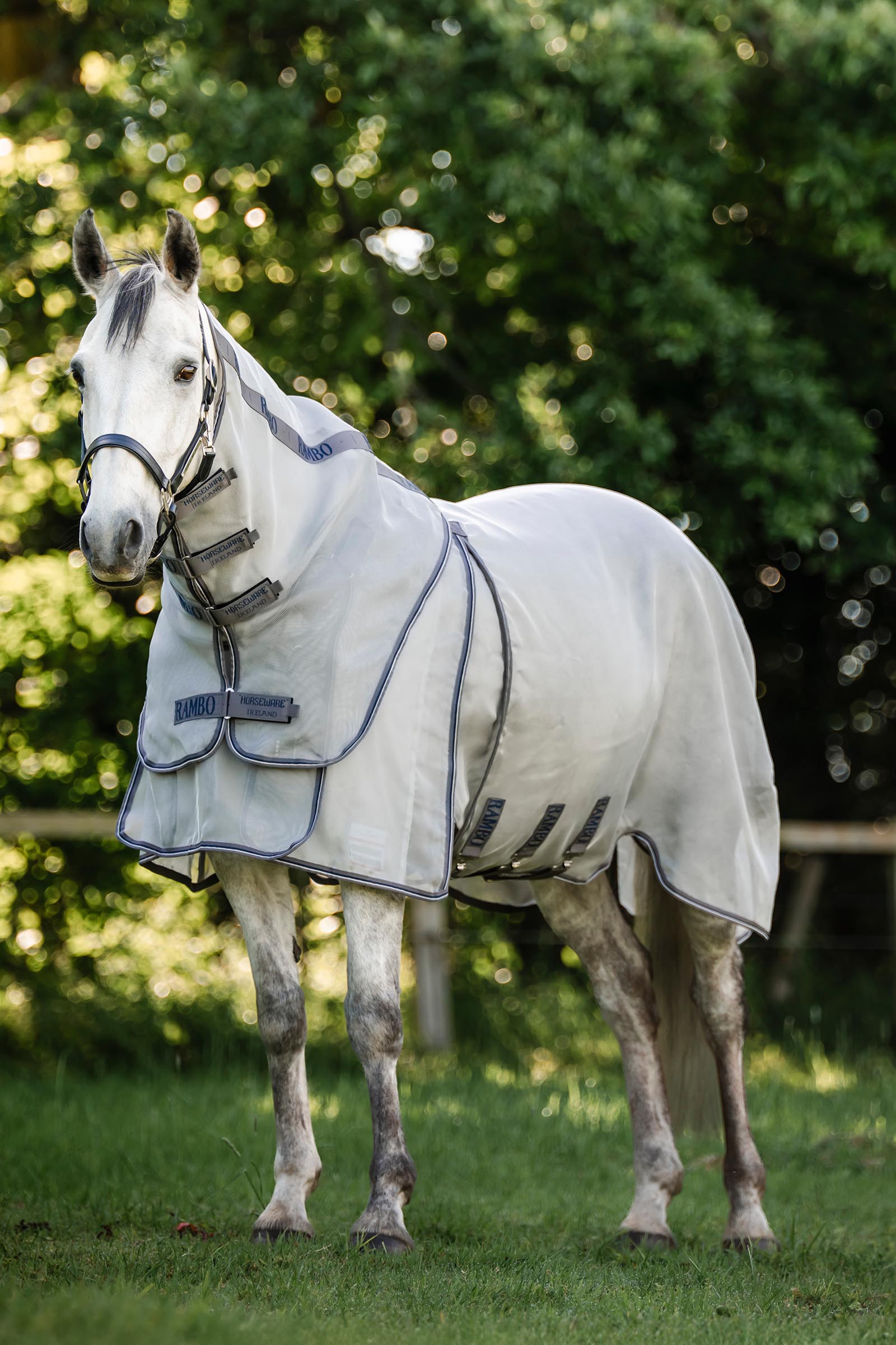 Horseware Rambo Optimo Protector Plus d&aelig;kken