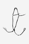 LeMieux Brystplade med aftagelig Martingal
