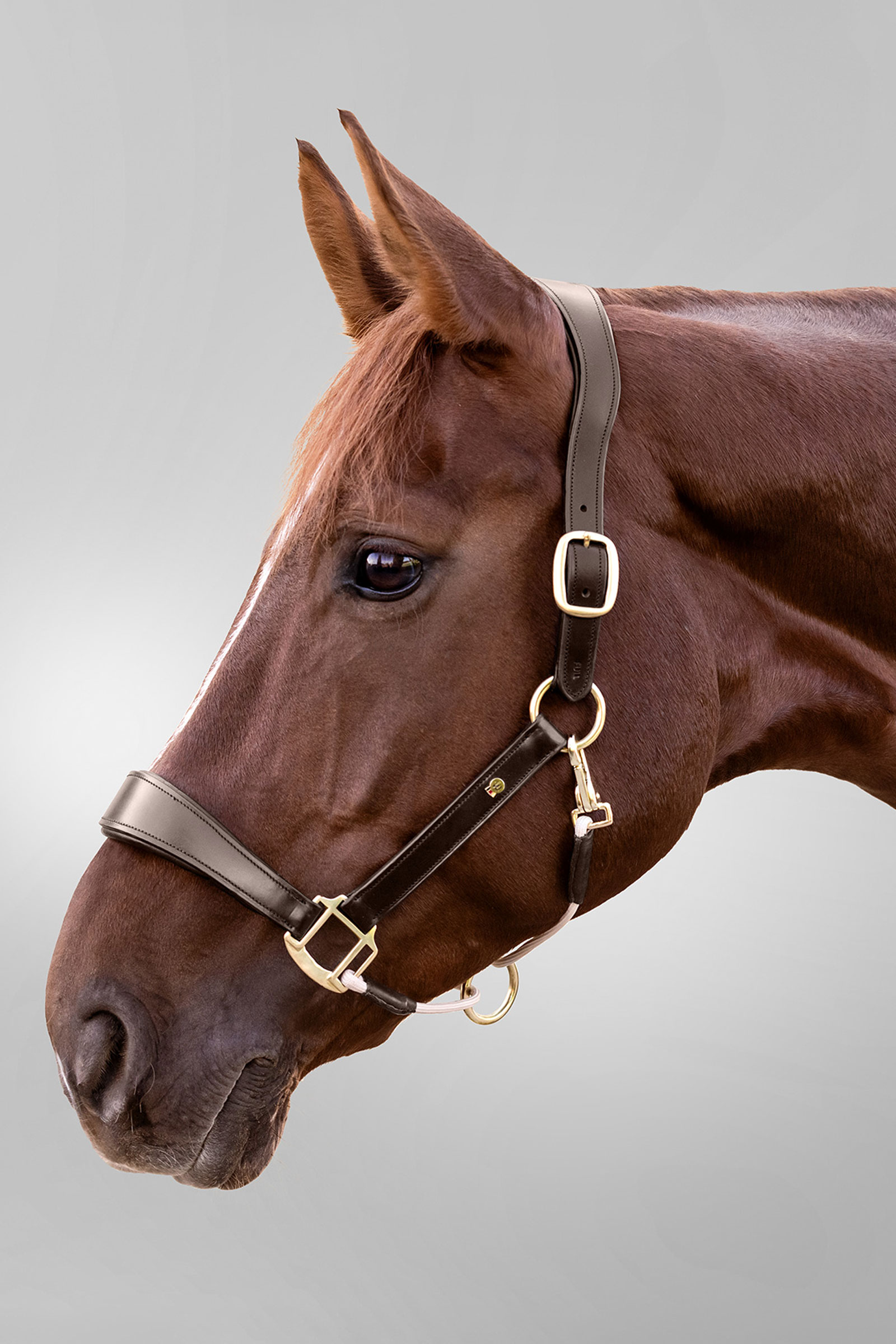 Royal Waldhausen S-Line l&aelig;dergrime