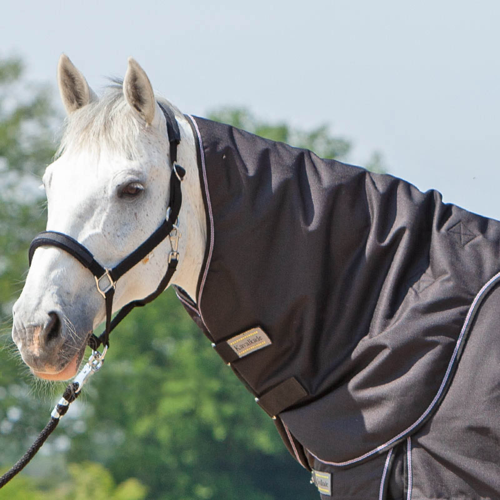 Kavalkade Hals til Alaska IV, 100 g