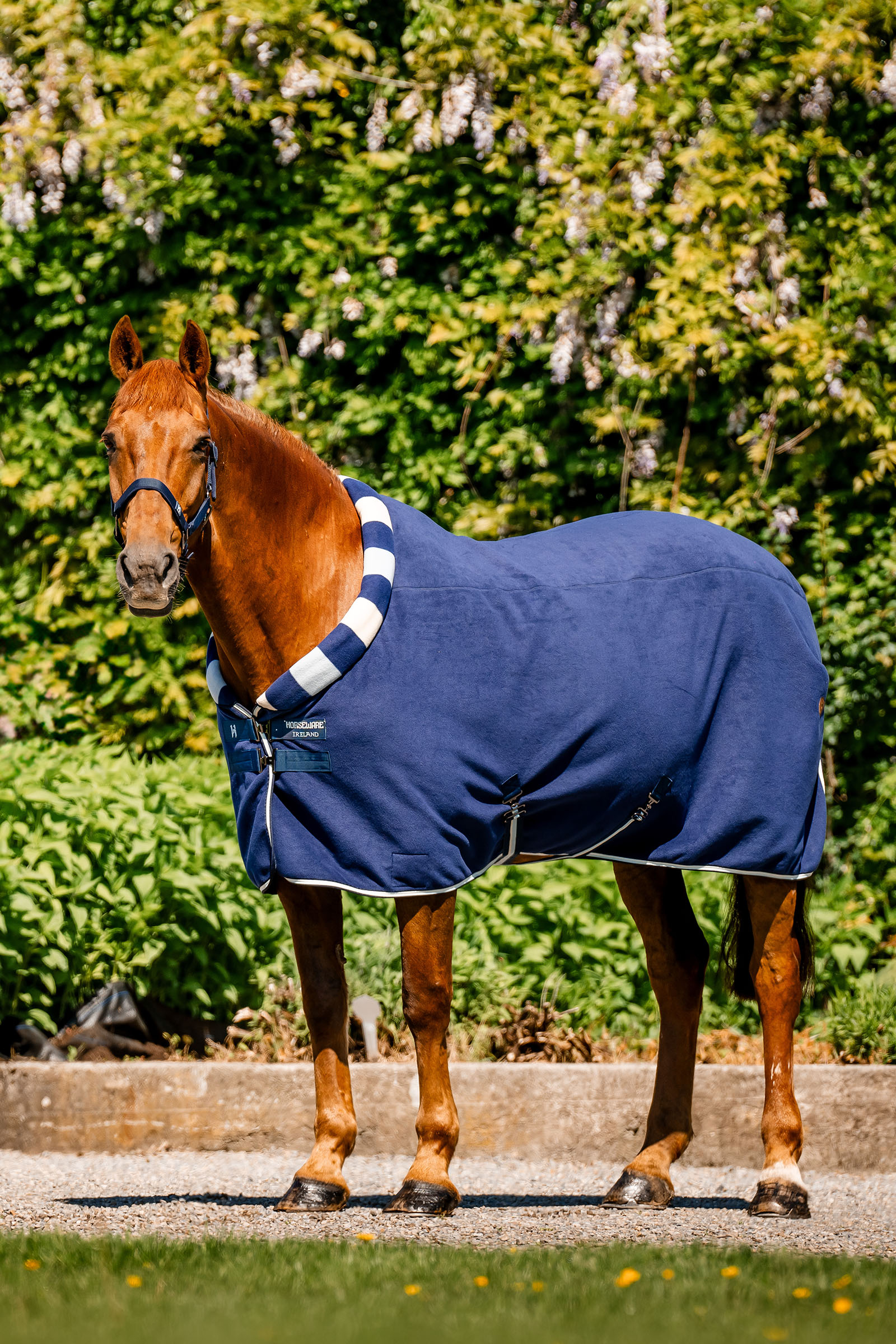 Horseware Newmarket Cosy Fleece K&oslash;led&aelig;kken