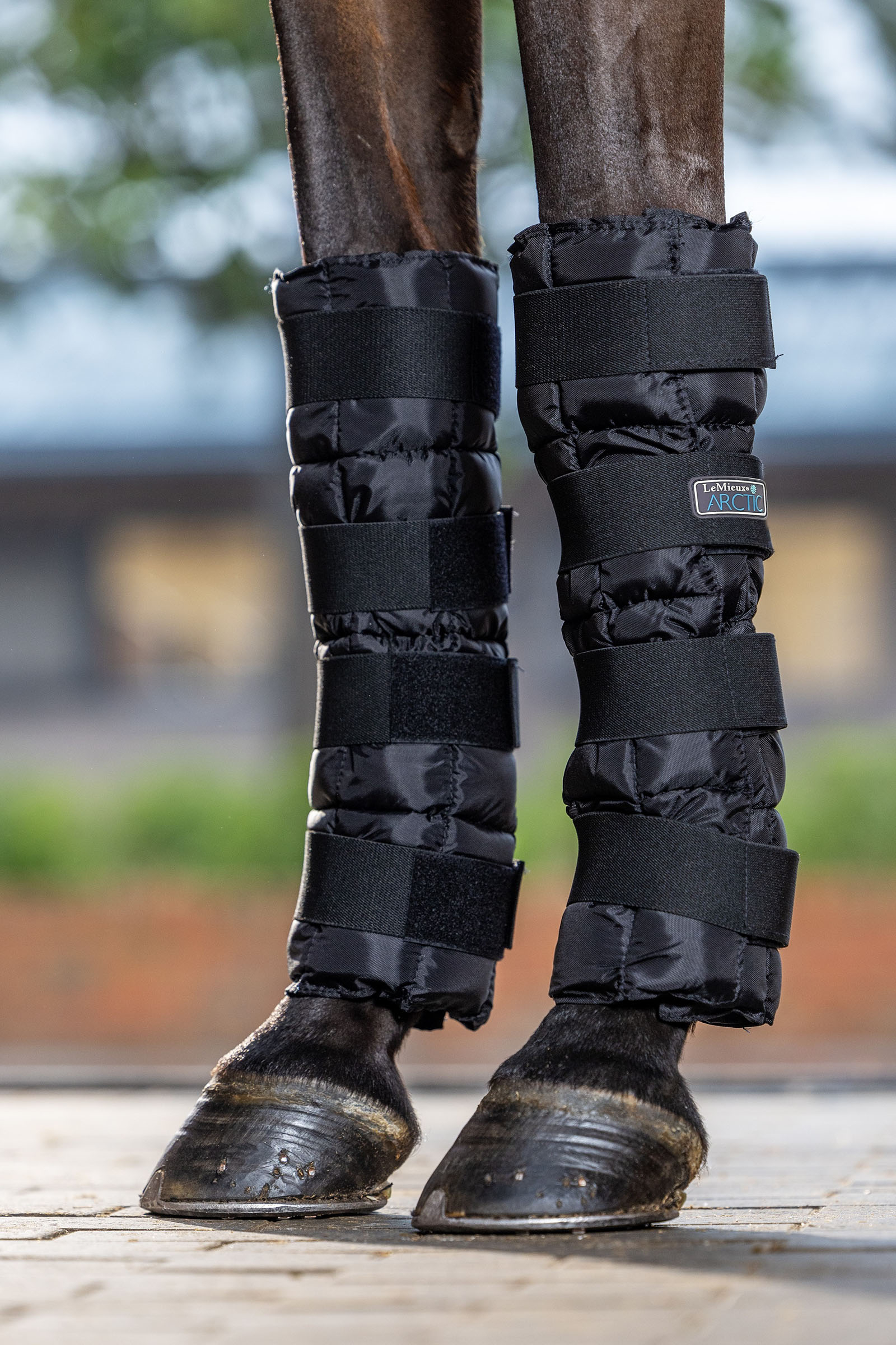 LeMieux Arctic Ice kølegamascher (par)