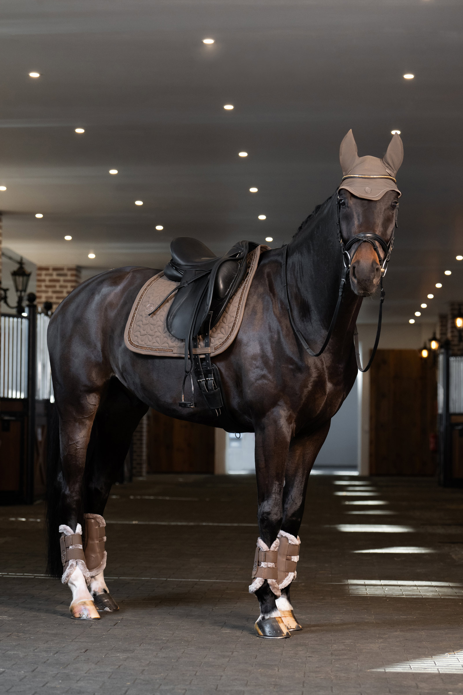 Eskadron Platinum 25 Dynair Mesh Sport fluehætte