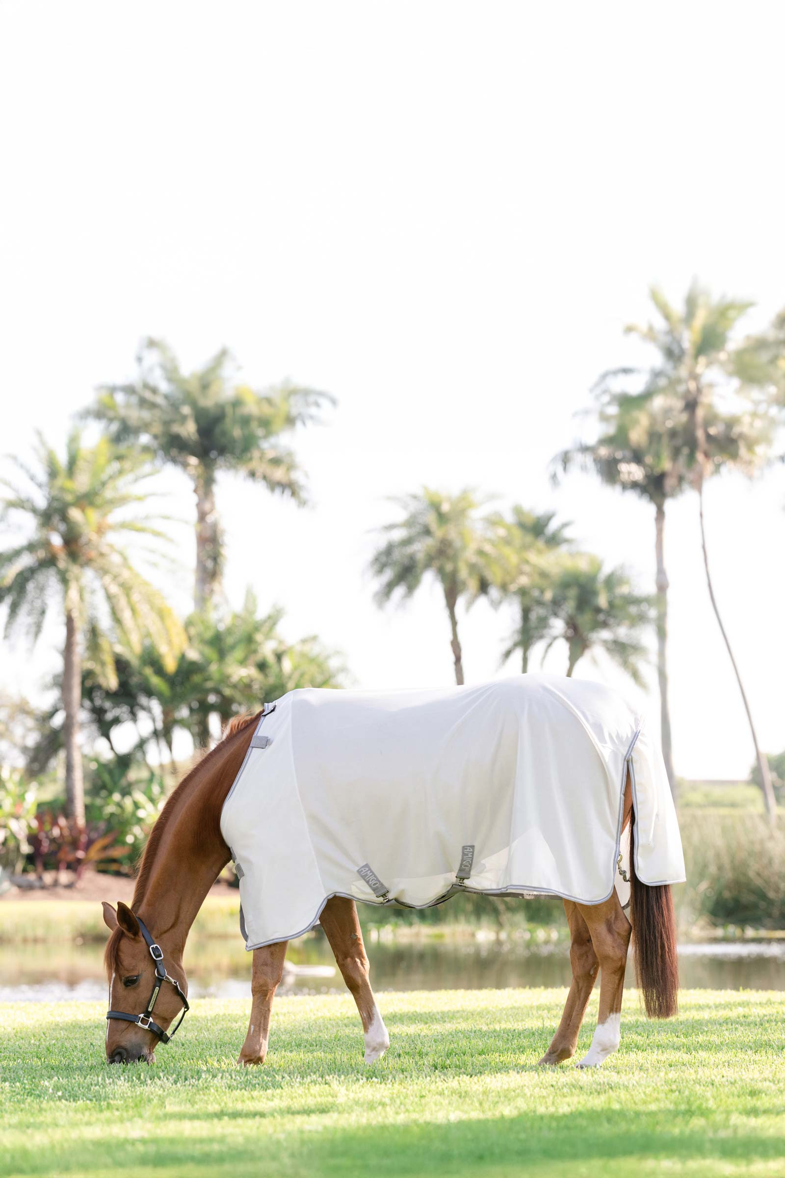 Horseware Amigo flued&aelig;kken med UV-beskyttelse