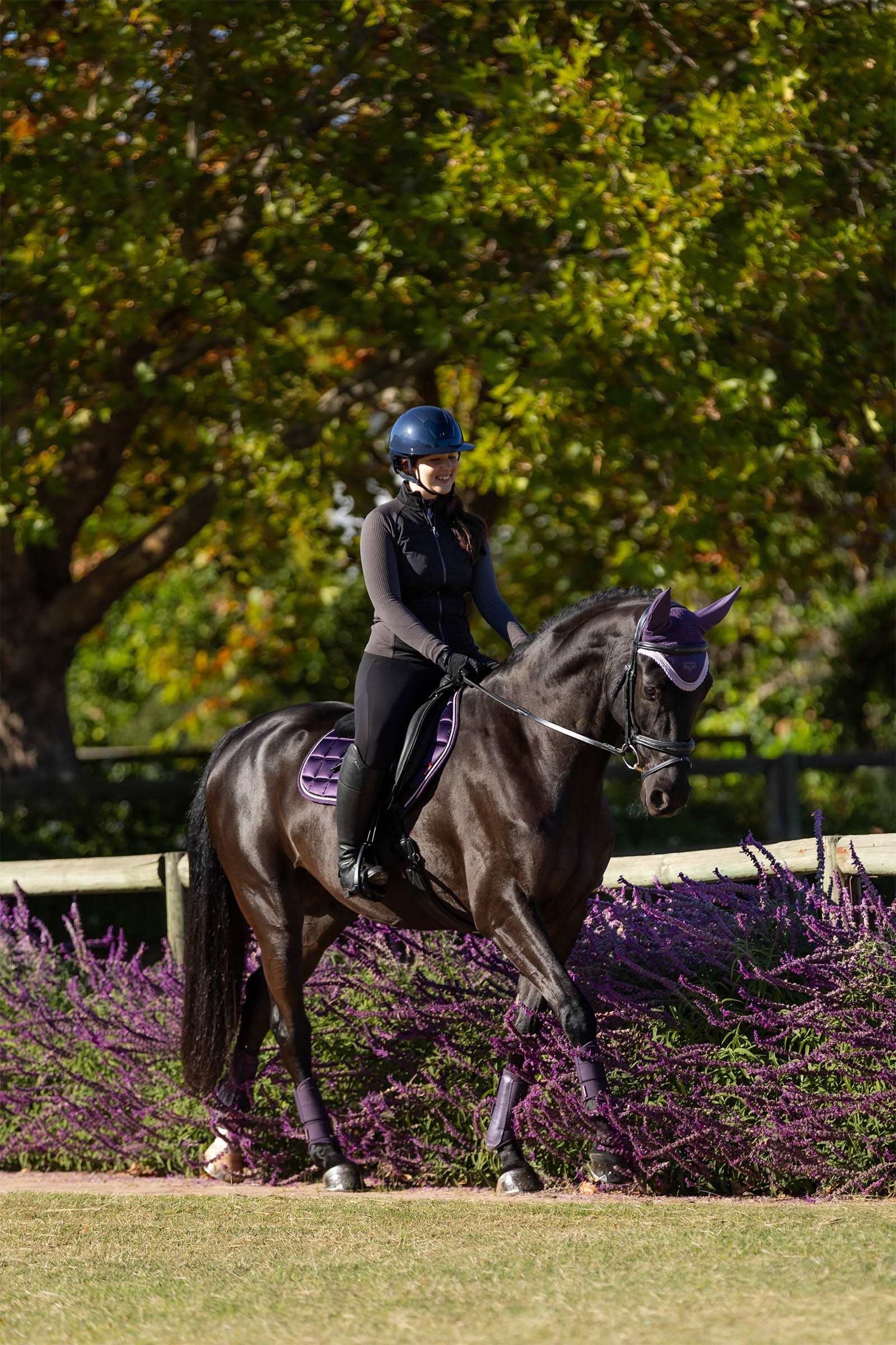 LeMieux Merino+ Loire klassisk Close Contact sadelunderlag