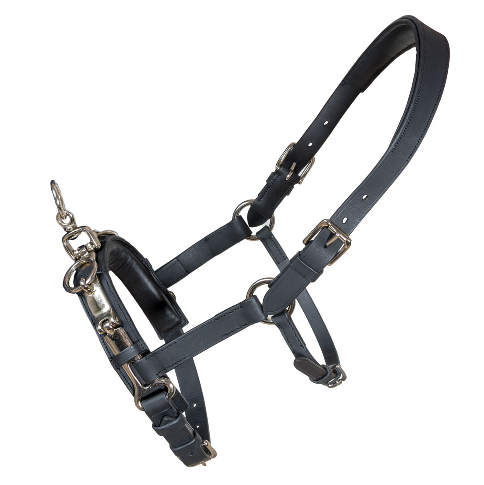 Karlslund L&aelig;derkapsun