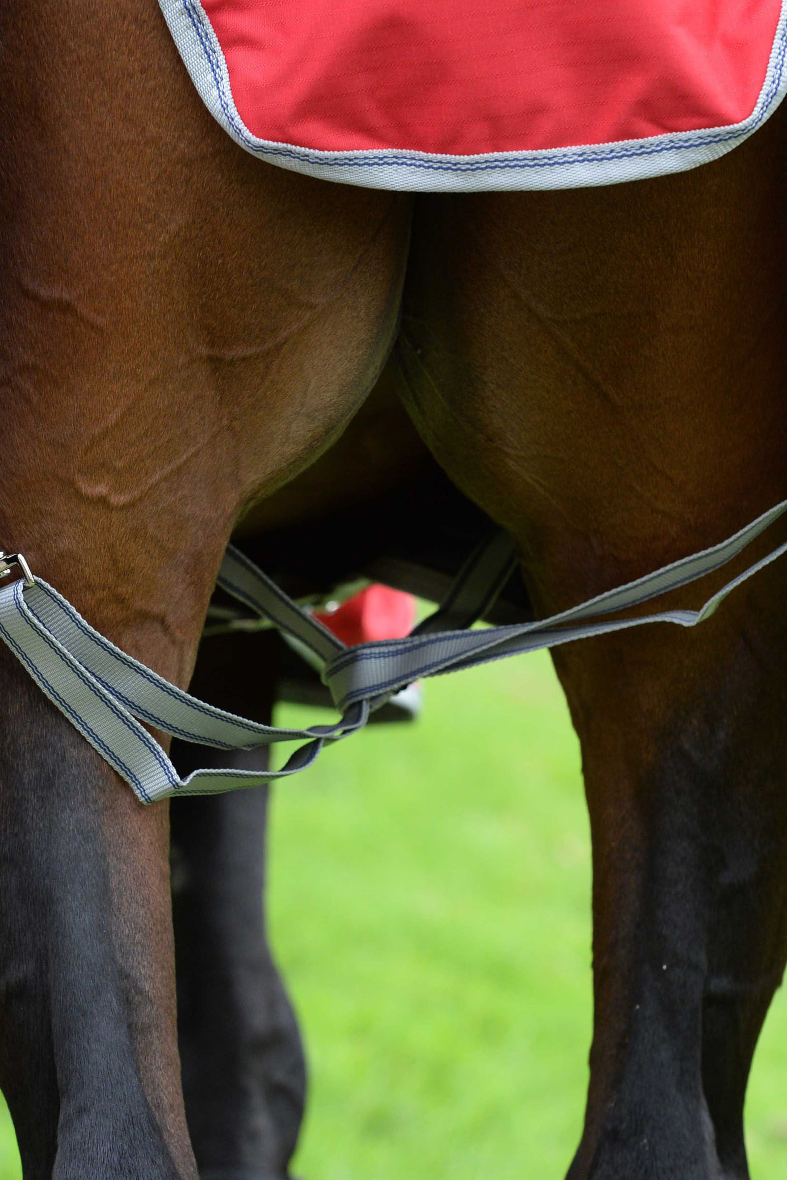 Weatherbeeta Comfitec Classic Hestedækken med integreret hals, 50g