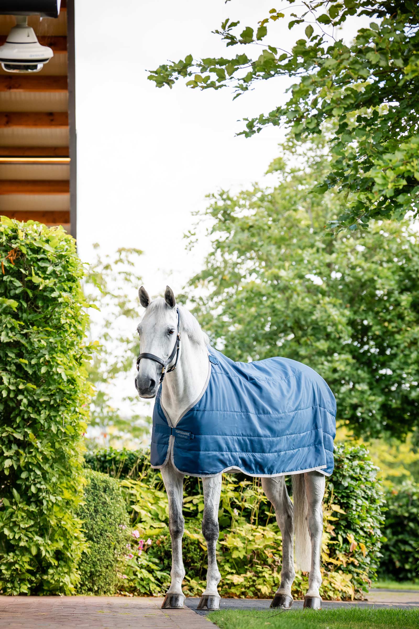 Horseware Ionic Therapy Foring 50g