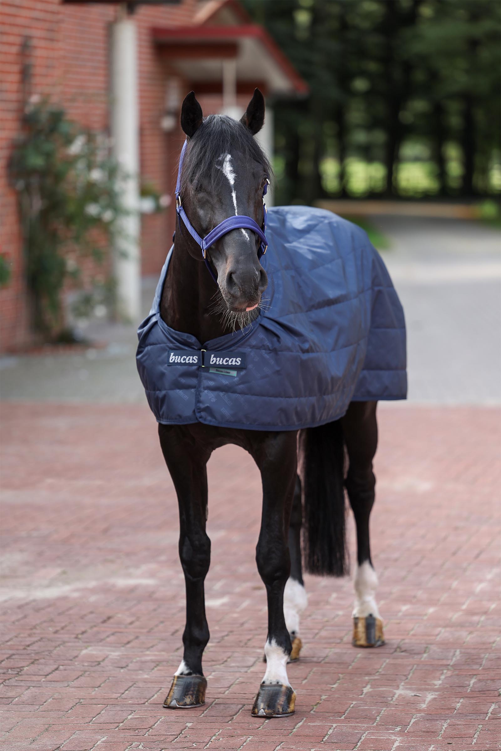 Bucas inderdækken, 200 g