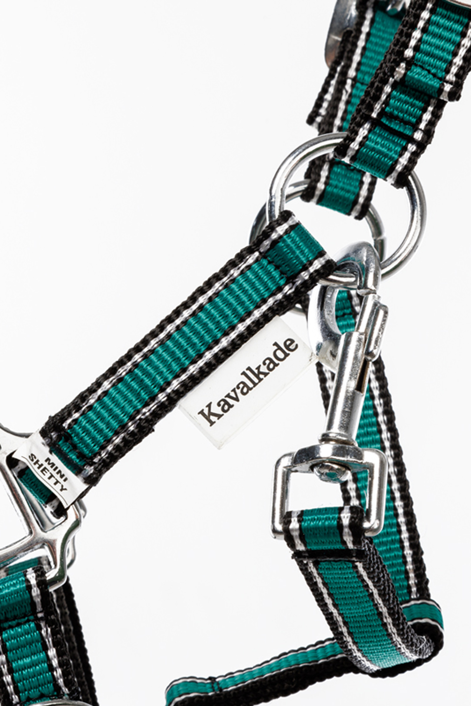 Kavalkade Shorty Grime til Shetlandsponyer