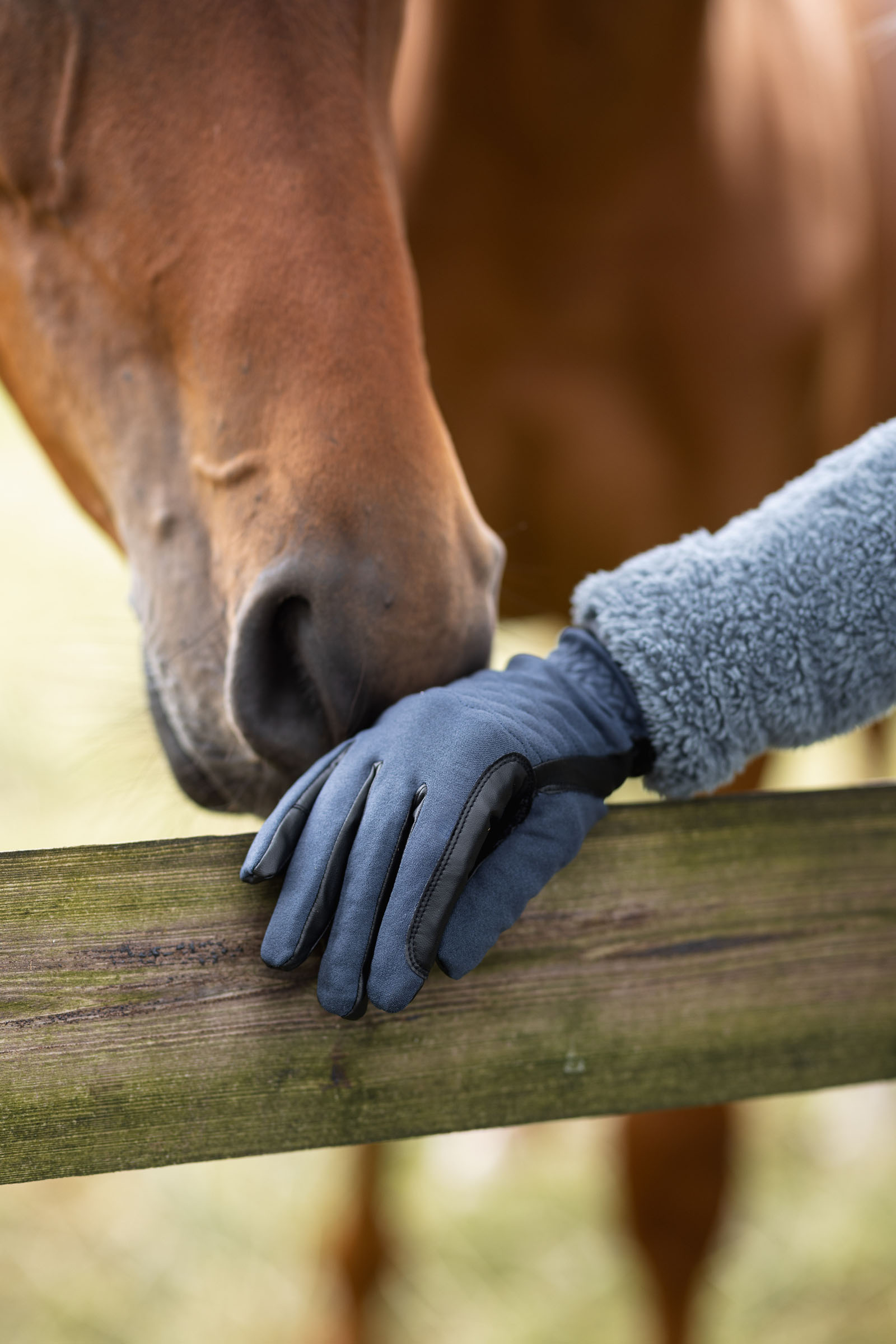 Horze JIMENA All Season Ridehandsker