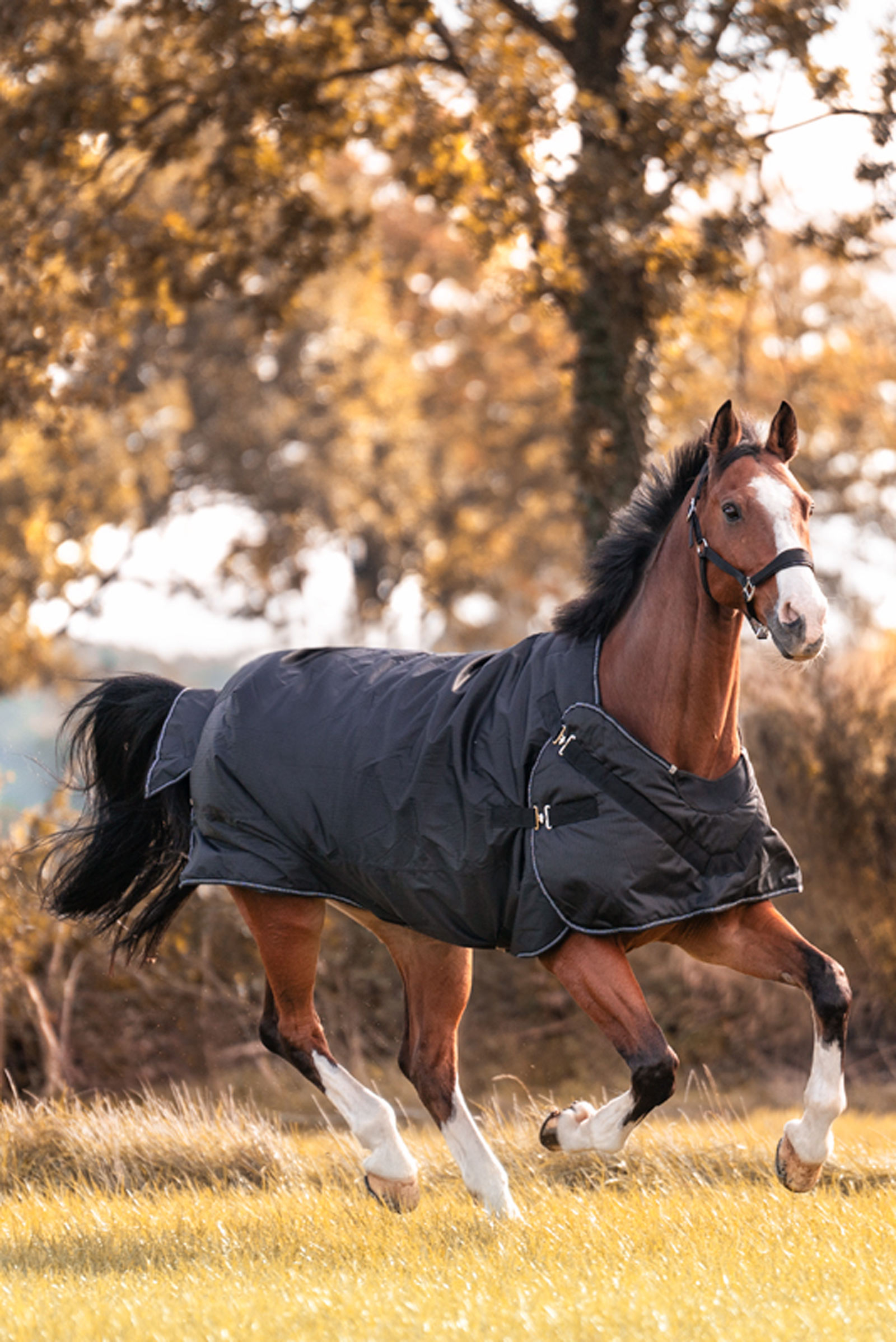 Kavalkade Halifax 2-i-1 Uded&aelig;kken og Walkerd&aelig;kken 200g