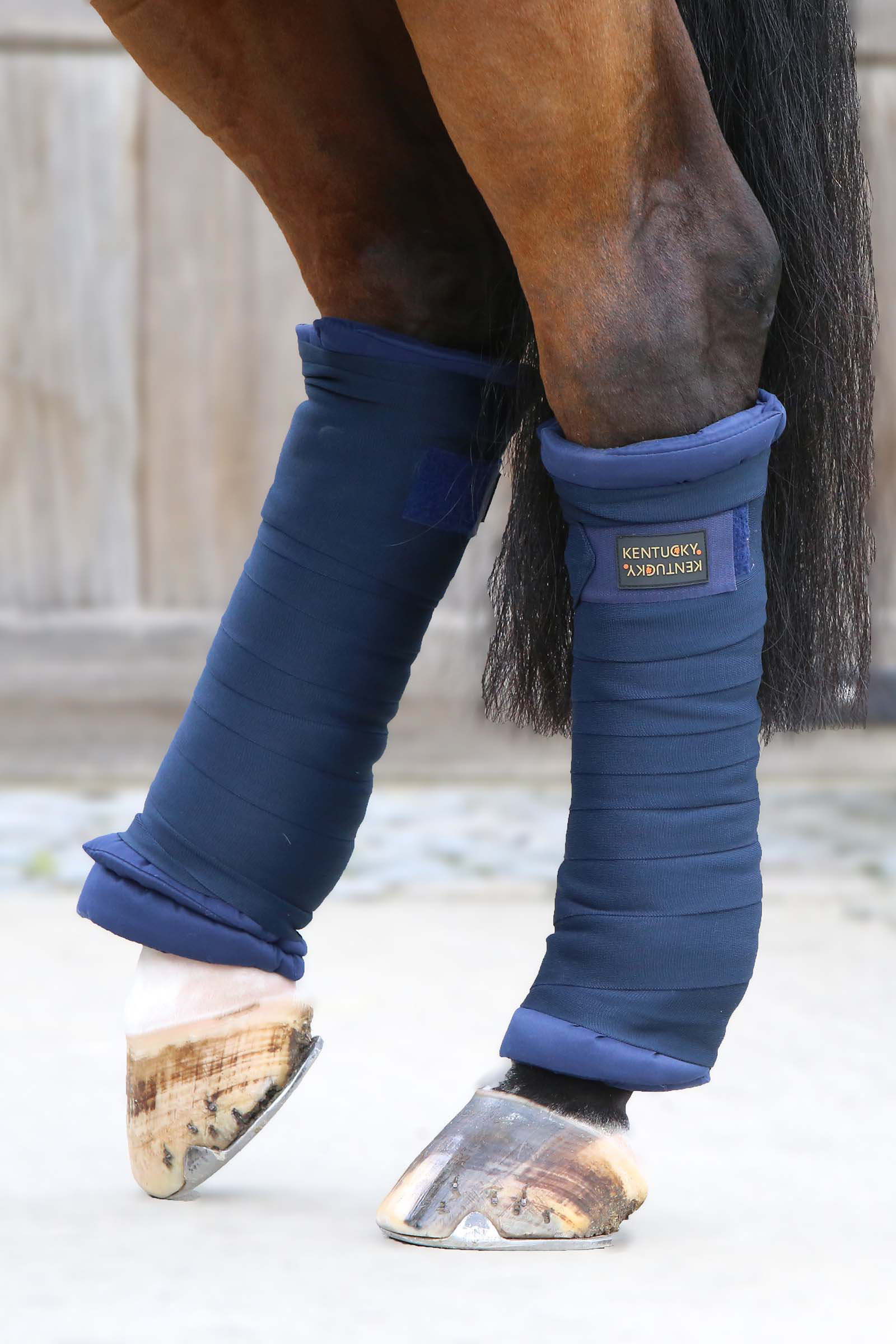 DB/AB Kentucky Horsewear vatterede bandageunderlag, sæt med 4