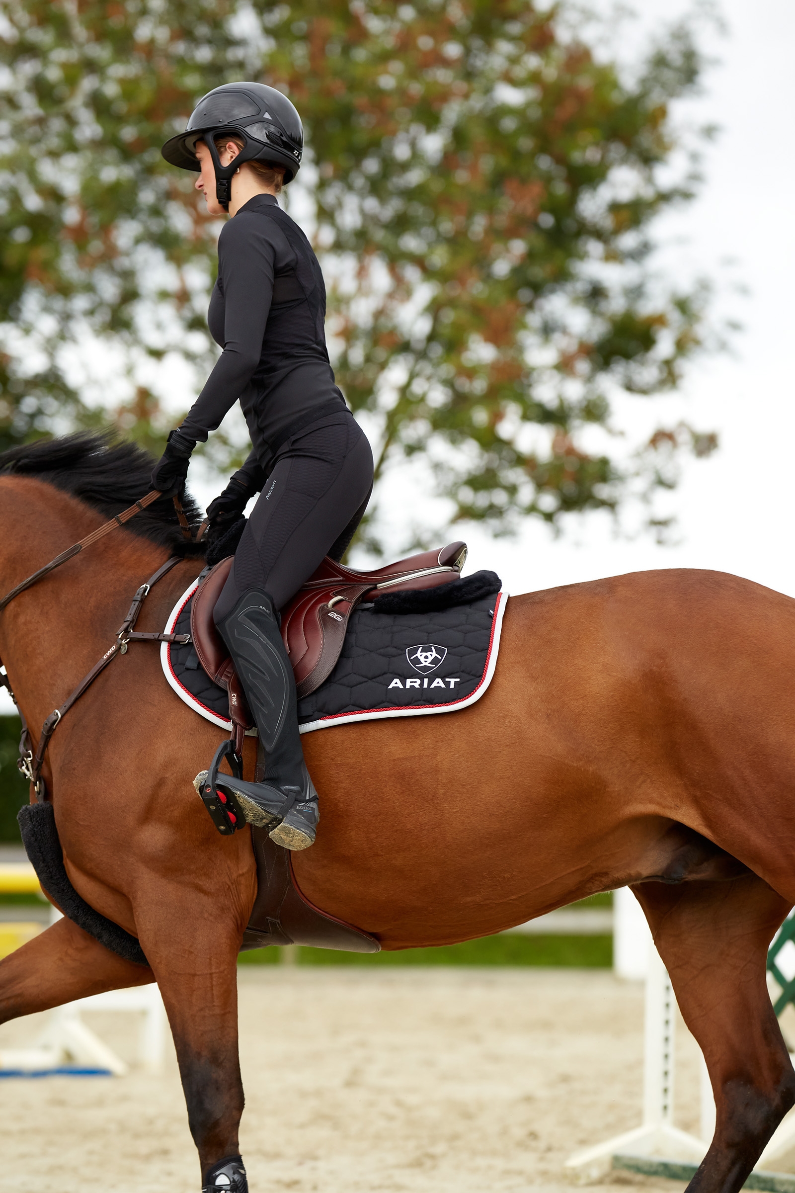 Ariat Ascent dames ridetights med knæbeskyttelse