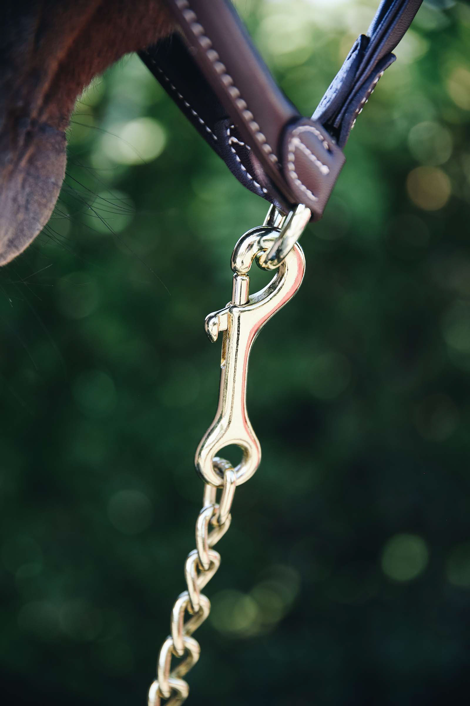 Kentucky Horsewear hingstek&aelig;de, 60 cm.