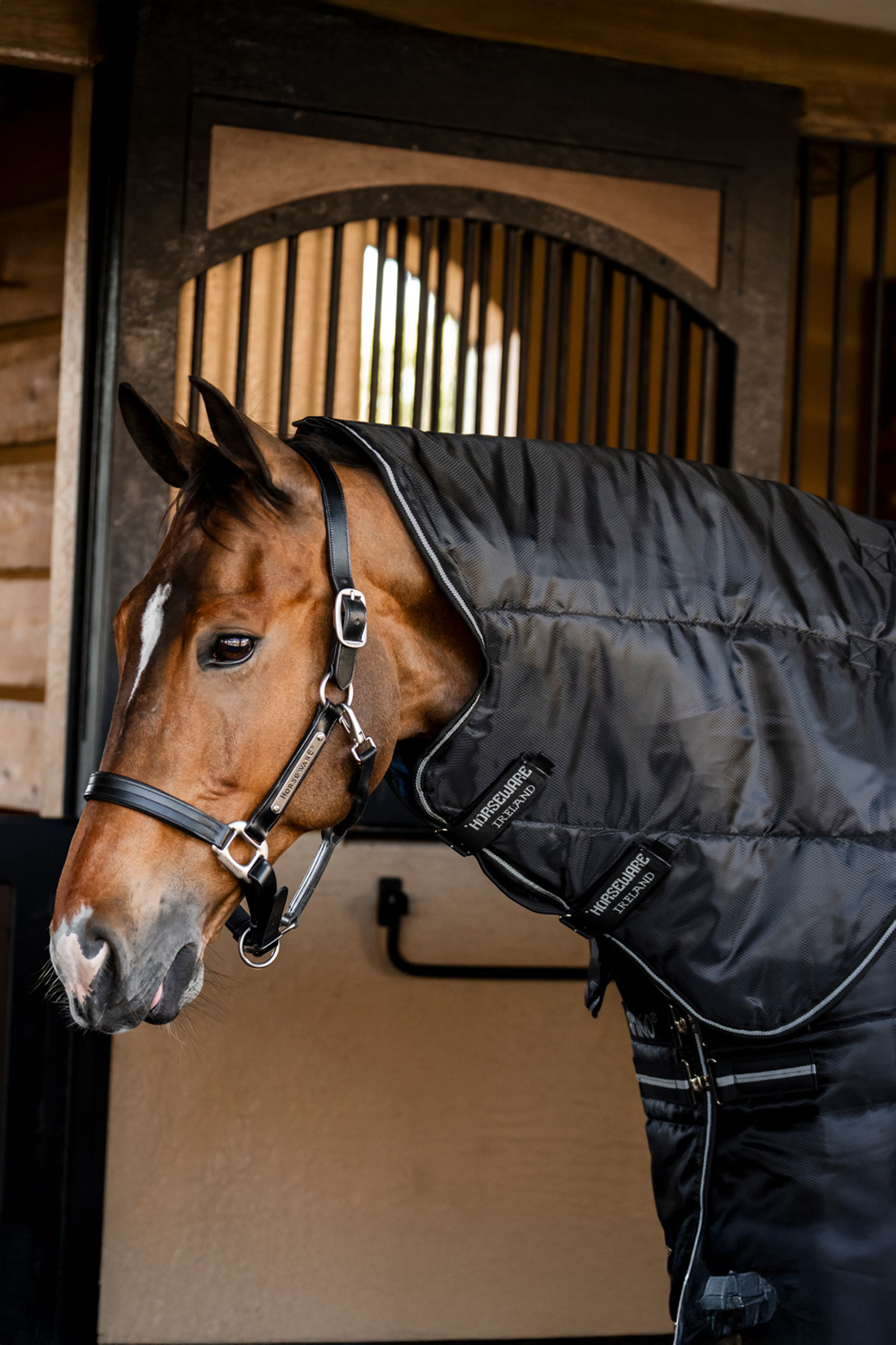 Black/Black/Silver Horseware Amigo Ripstop Insulator Plus stalddækken, 200 g