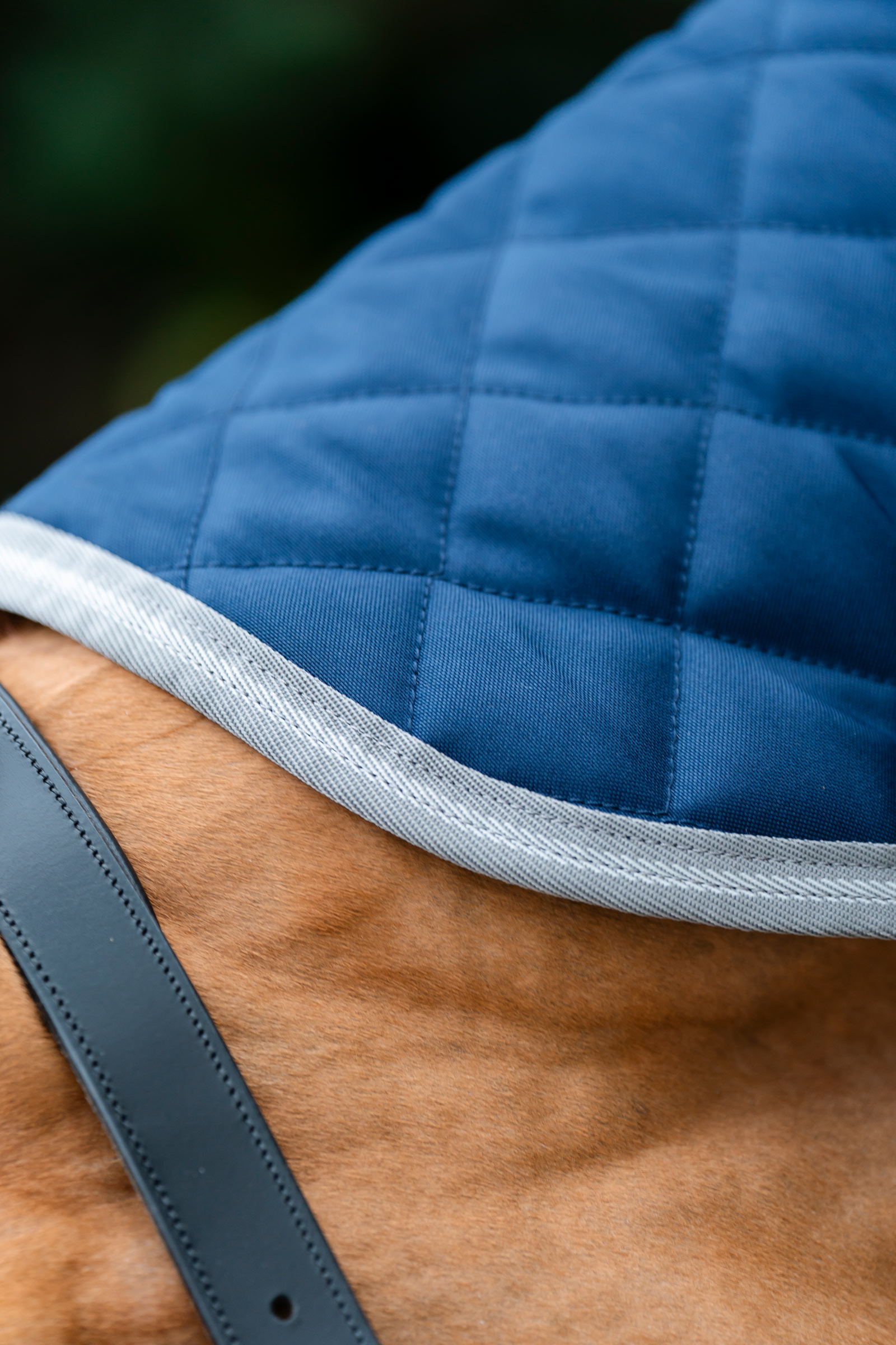 Horseware Amigo quiltet staldd&aelig;kken Plus, 200 g