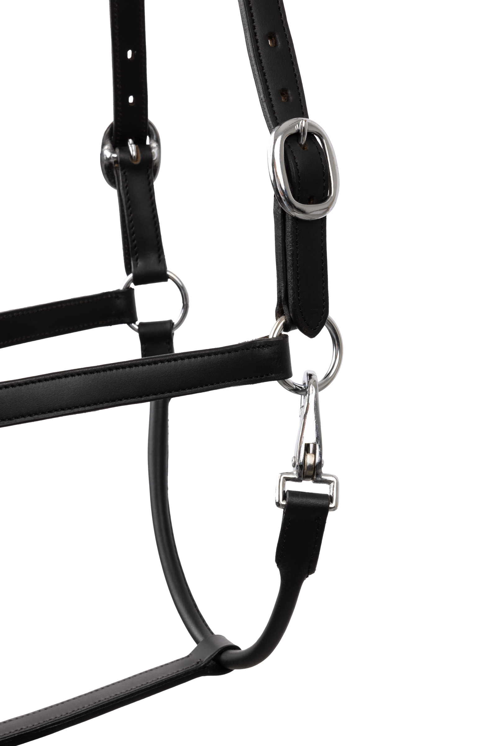 Horze grime med krystaller