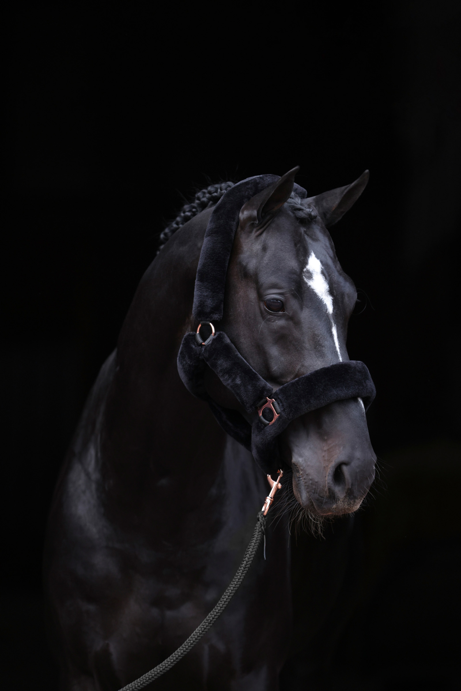 Black Covalliero SuperSoft Halter