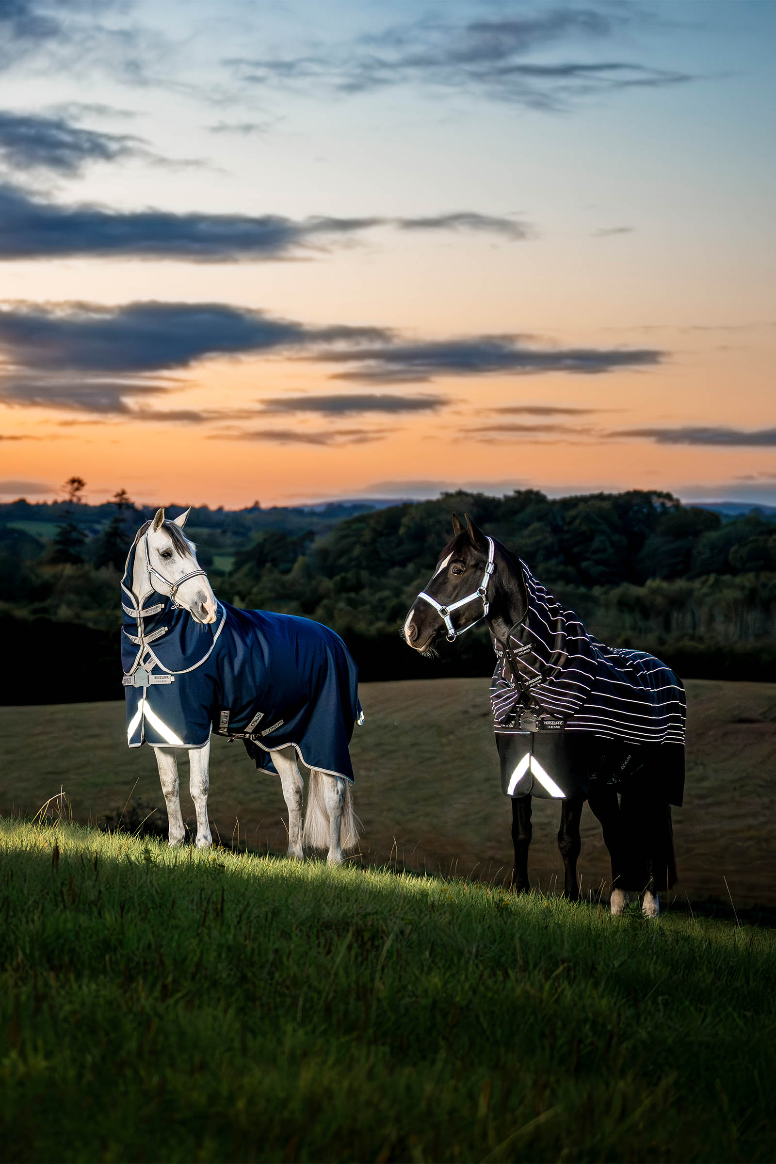 Horseware Amigo 1200D FieldSafe Plus udedækken, 100 g