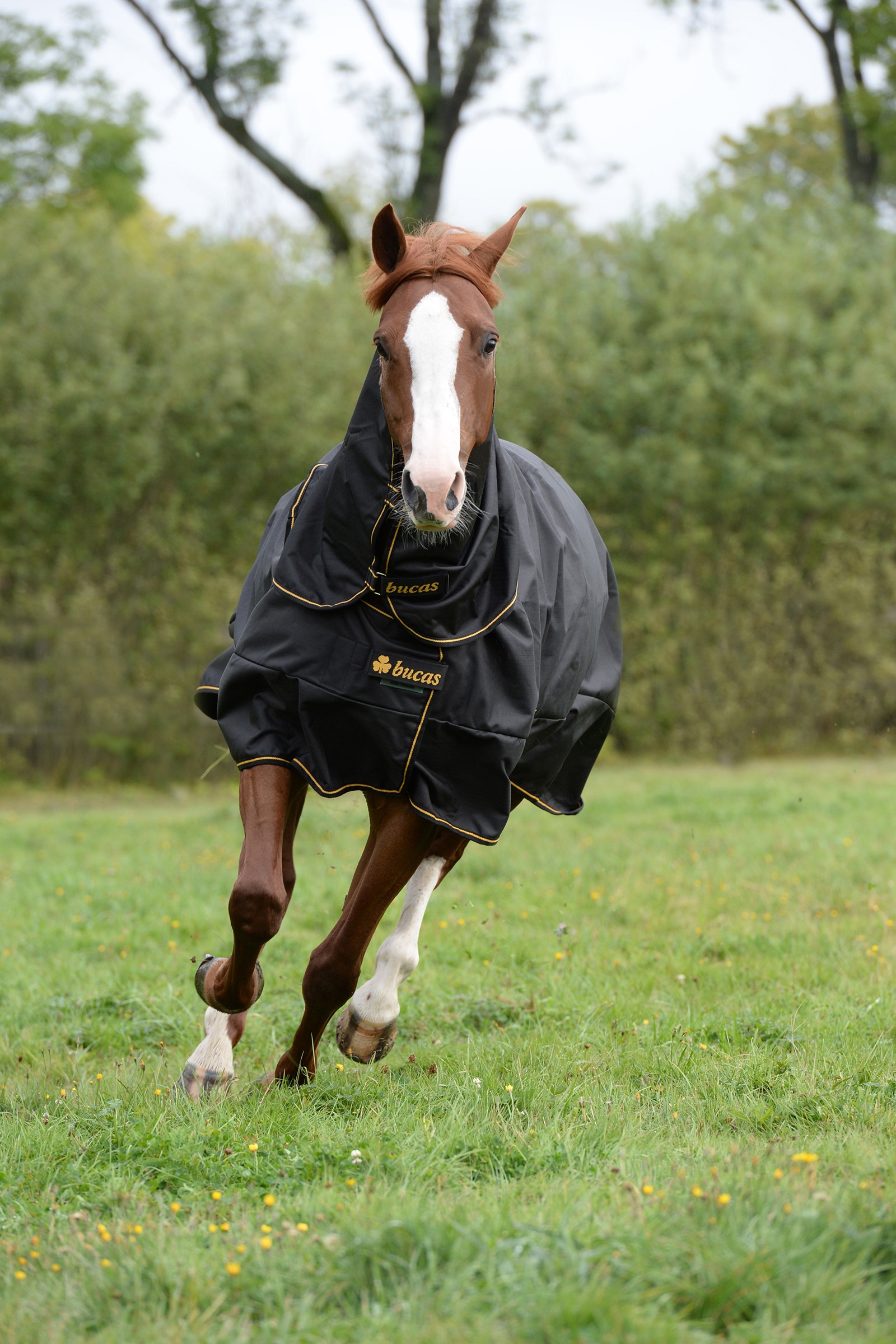 Bucas Irish Extra uded&aelig;kken, pony