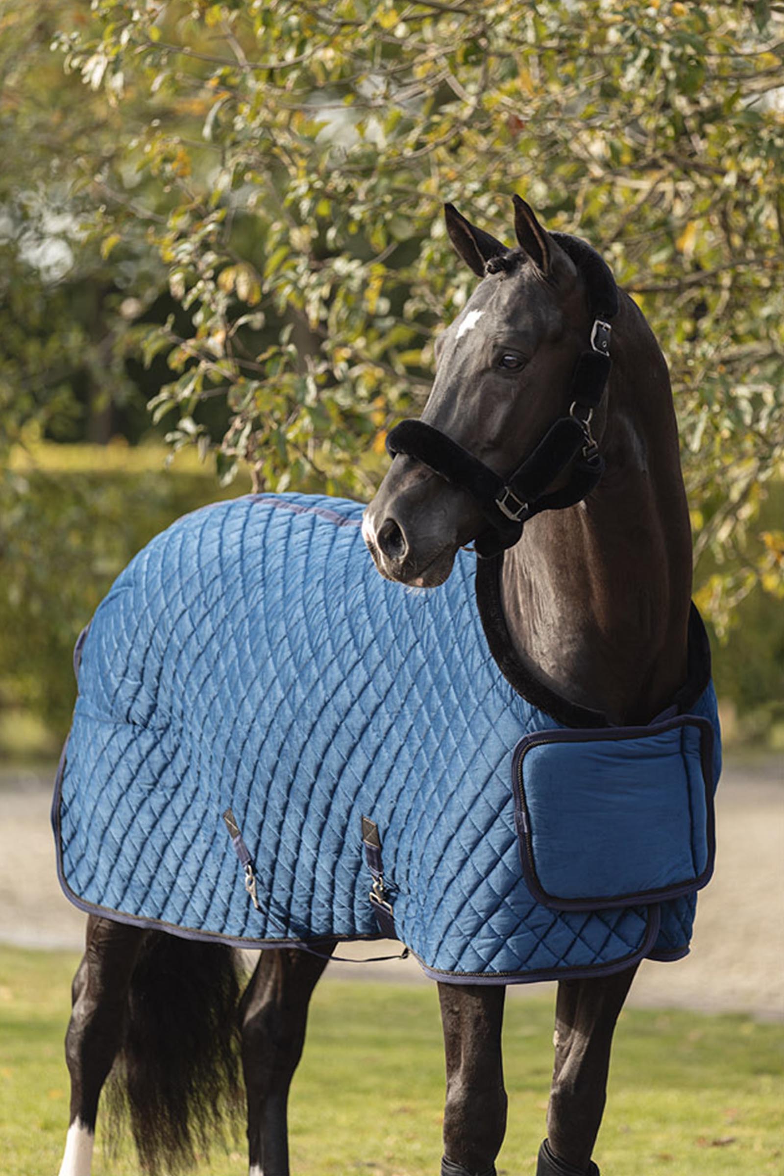 ANKY Bl&oslash;d Grime