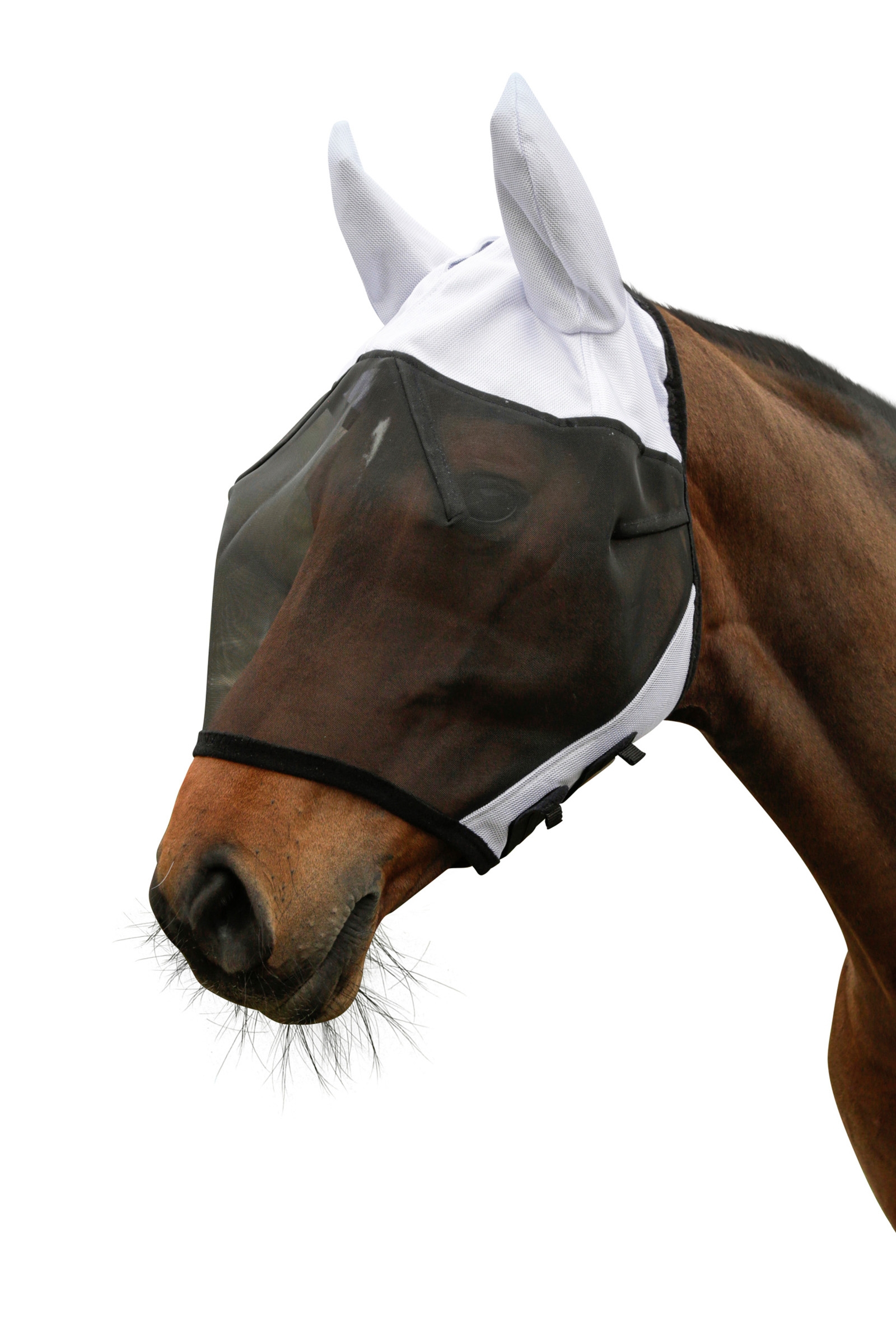 Covalliero SuperFly Fly Mask with Ear Protection