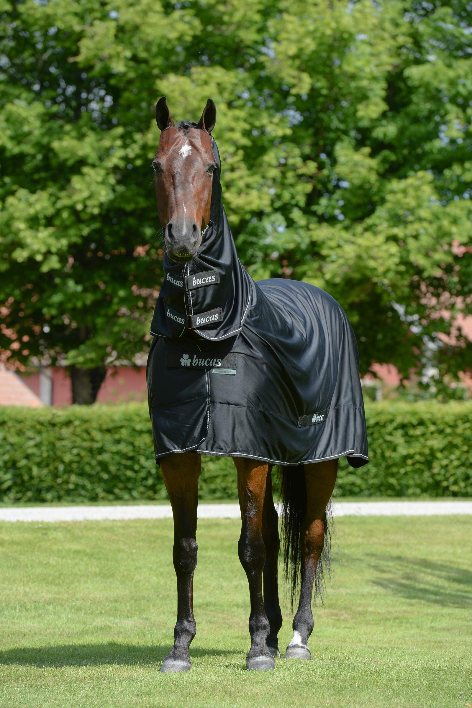 Bucas Shamrock Power dækken med hals