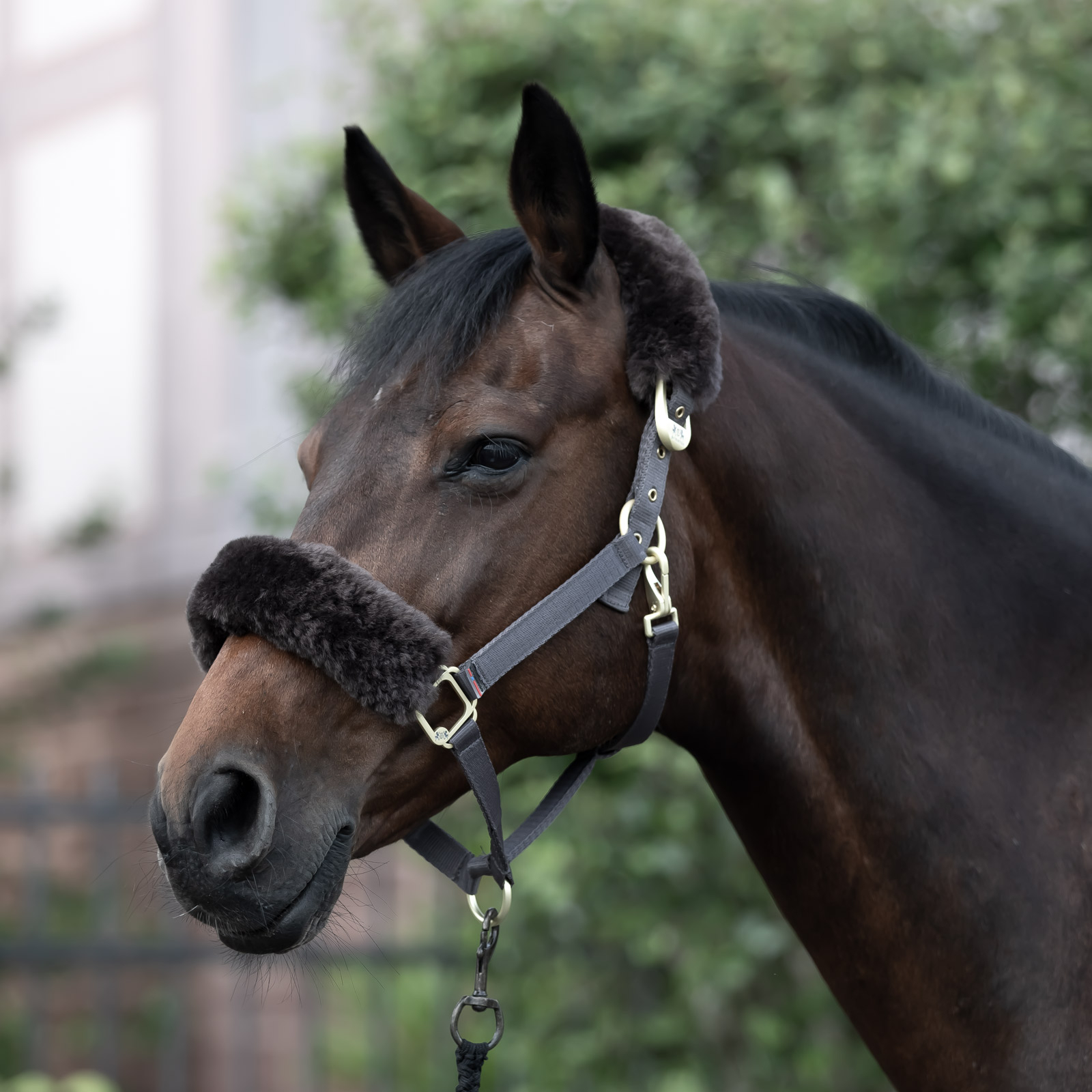 B Vertigo Laurier grime med lammeskind