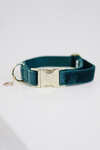 Kentucky Dogwear Dog Collar Velvet halsb&aring;nd