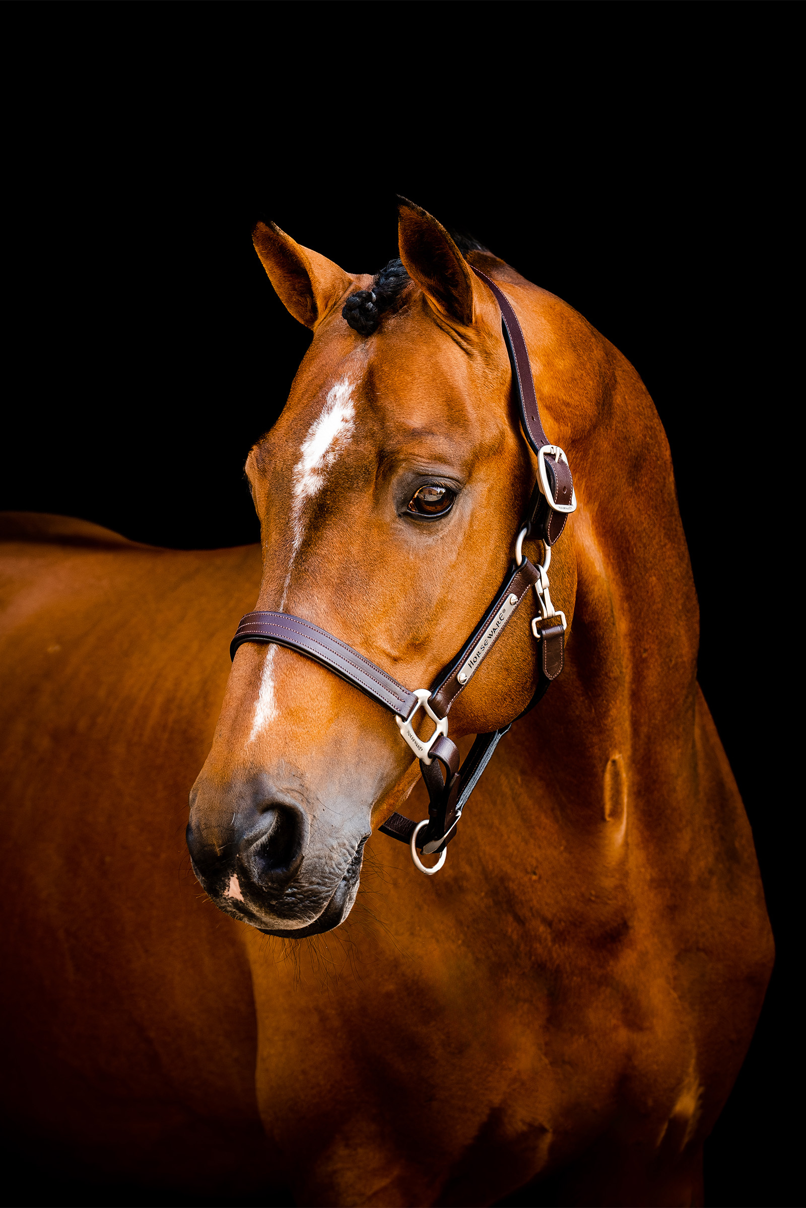 Horseware Signature læder grime