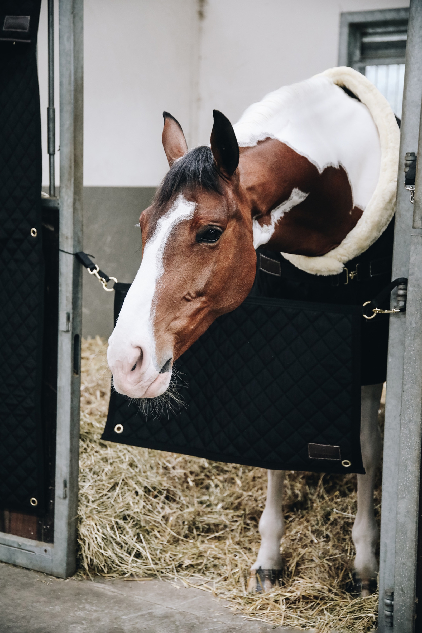 Kentucky Horsewear Boksgardin