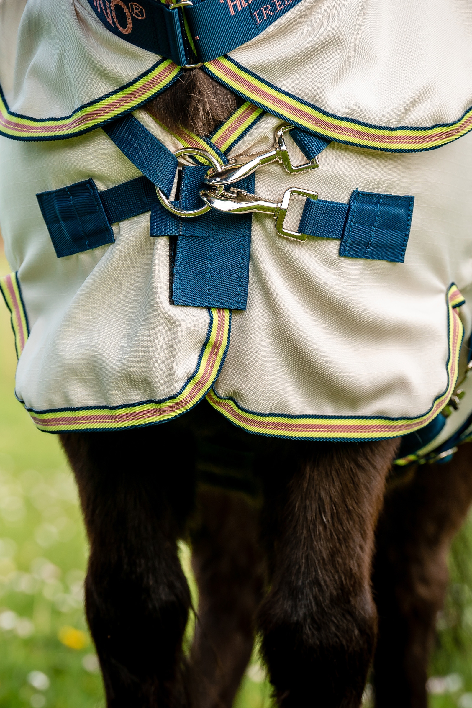 Horseware Amigo Ripstop Hoody Petite, flue dækken