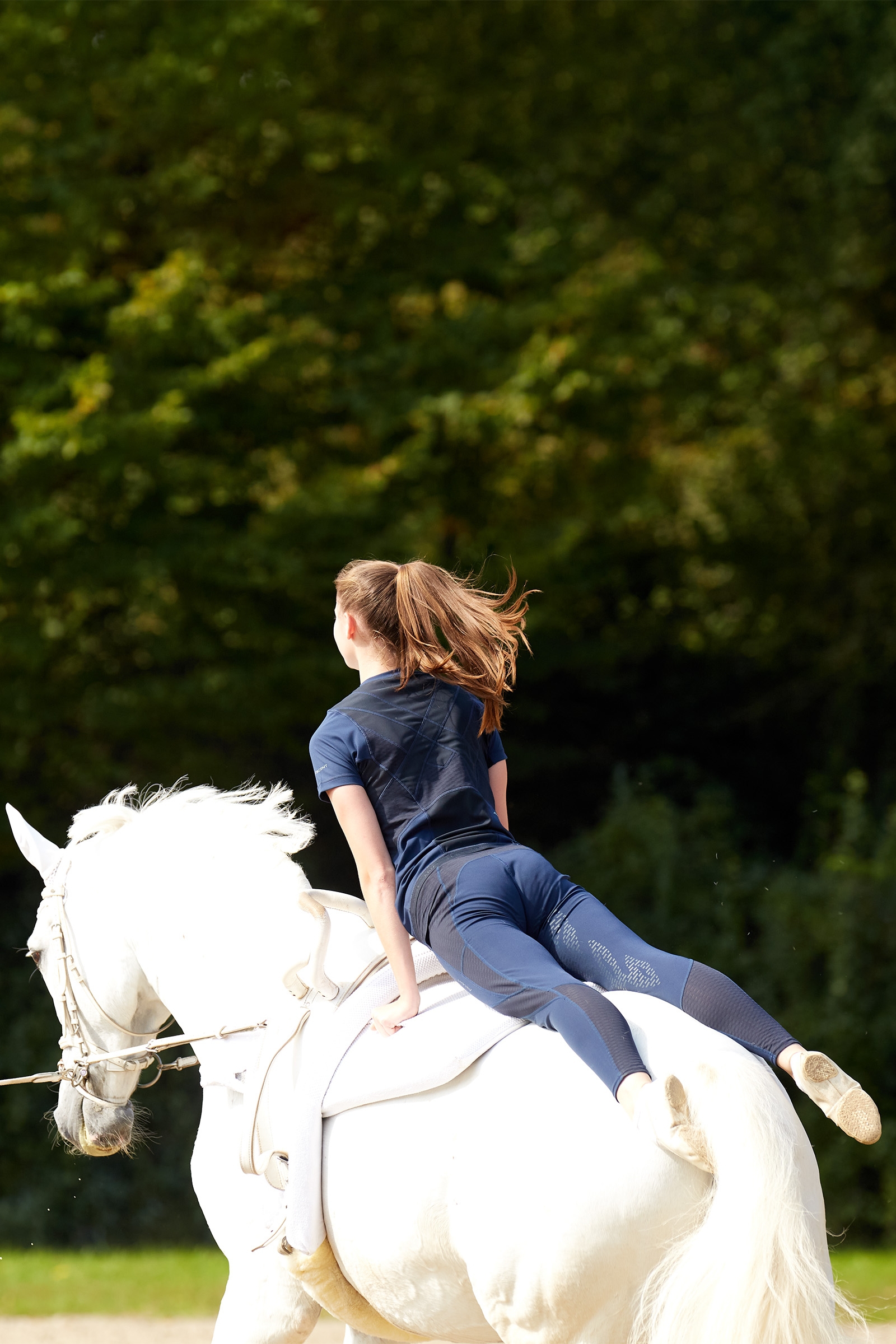 Ariat Ascent dames ridetights med kn&aelig;beskyttelse