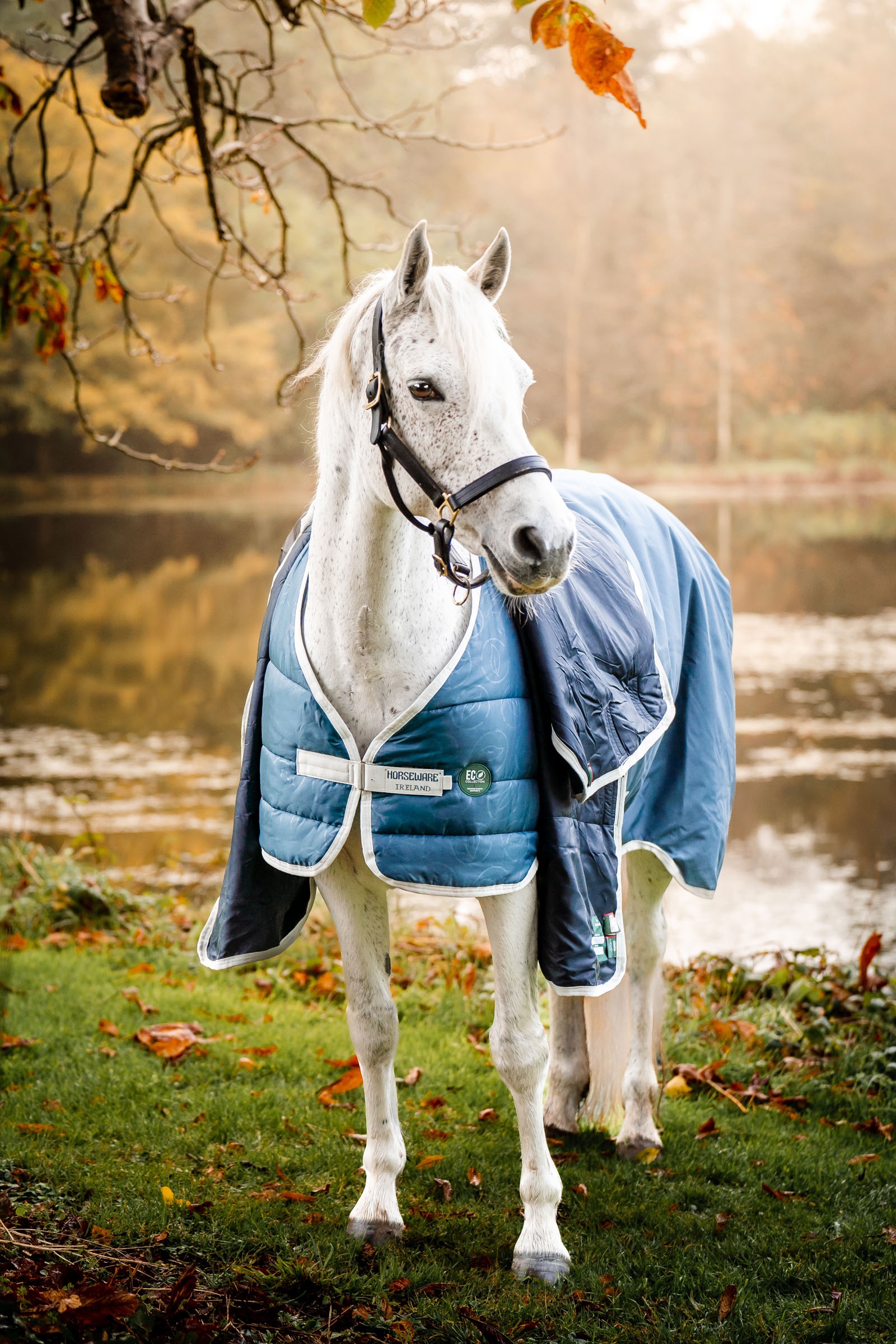 Horseware Eco Liner, 200 gr