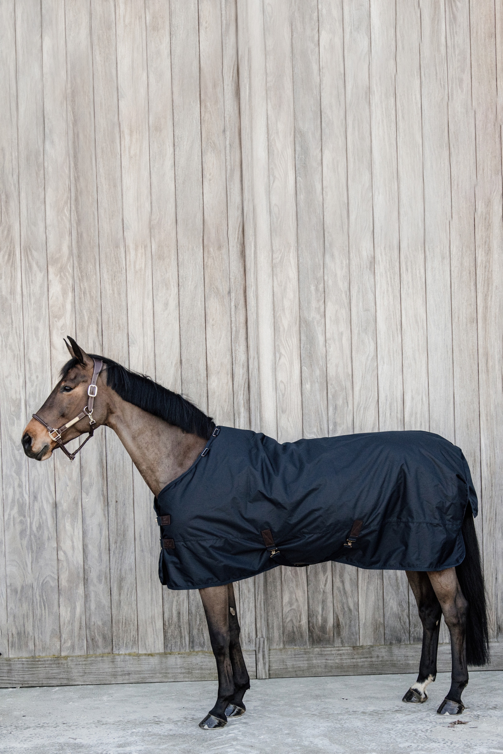 Kentucky Horsewear All Weather Classic overgangsdækken, 50 g