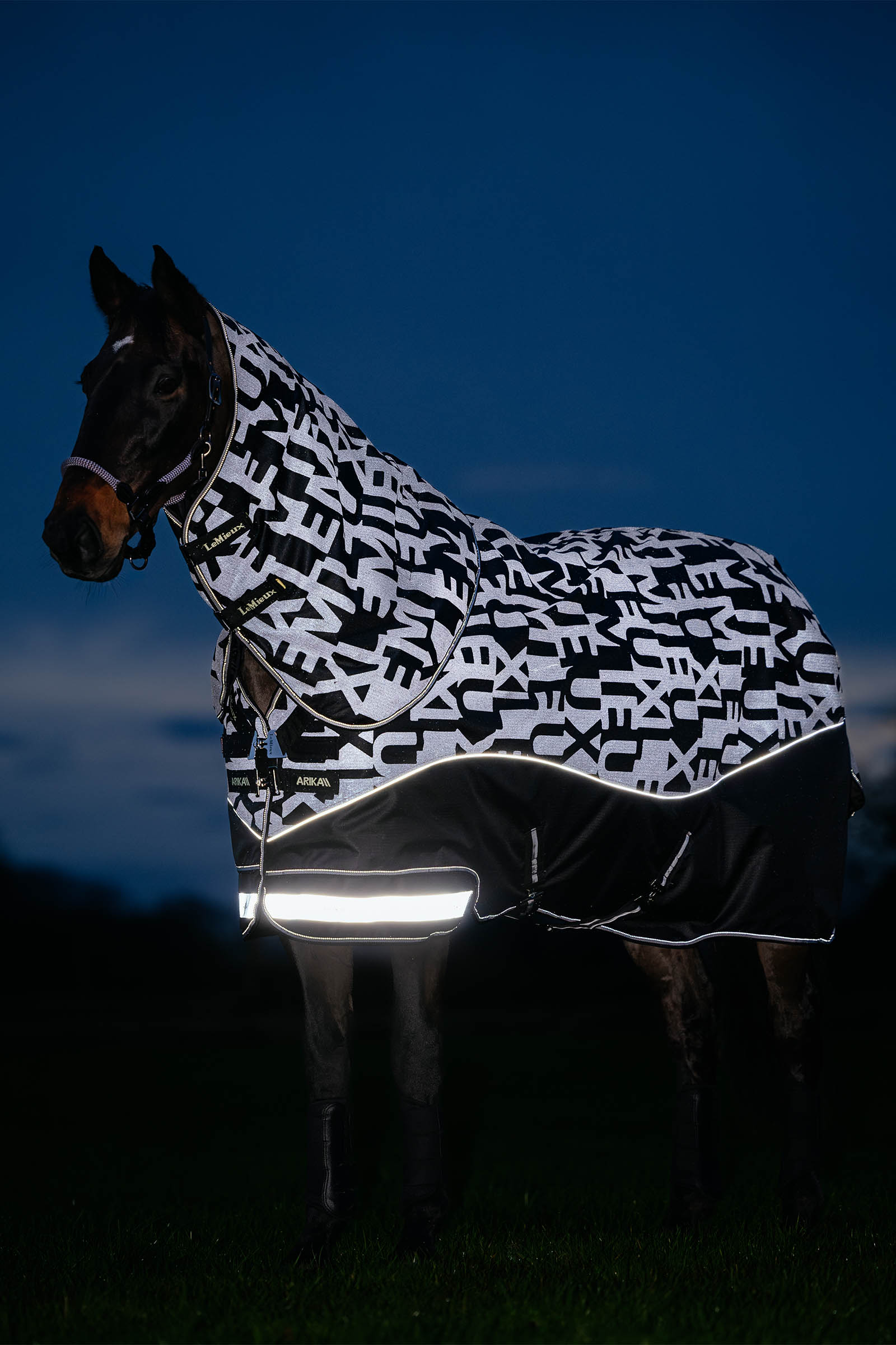 LeMieux Arika Reflective Turnout Rug With Detachable Neck, 100 g