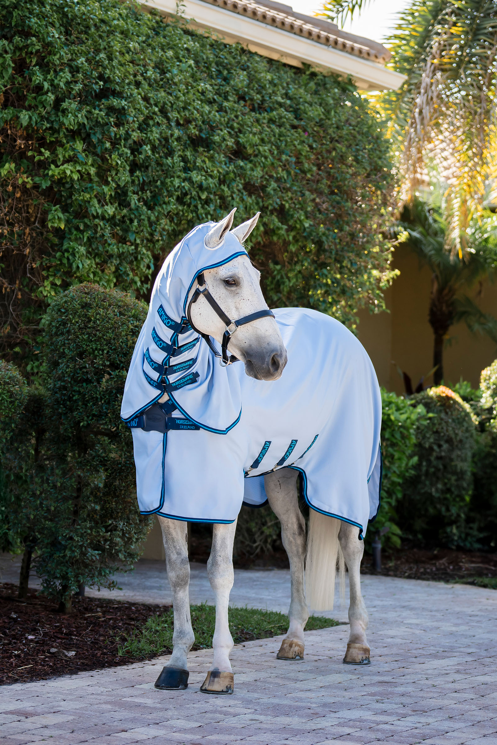 Horseware Amigo Ripstop Flued&aelig;kken