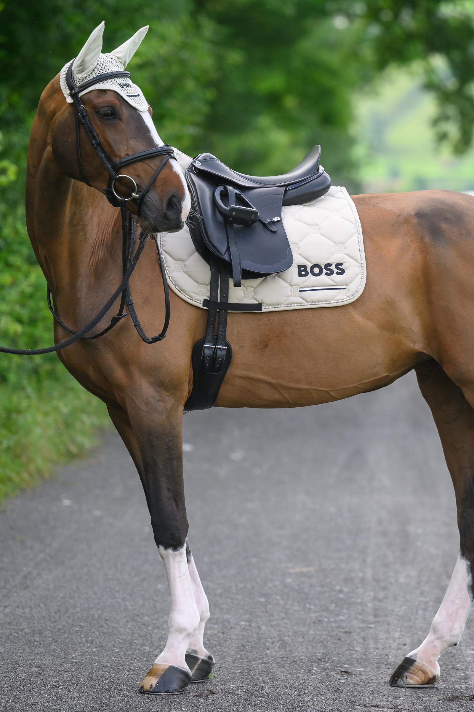 Boss Cambridge dressurunderlag