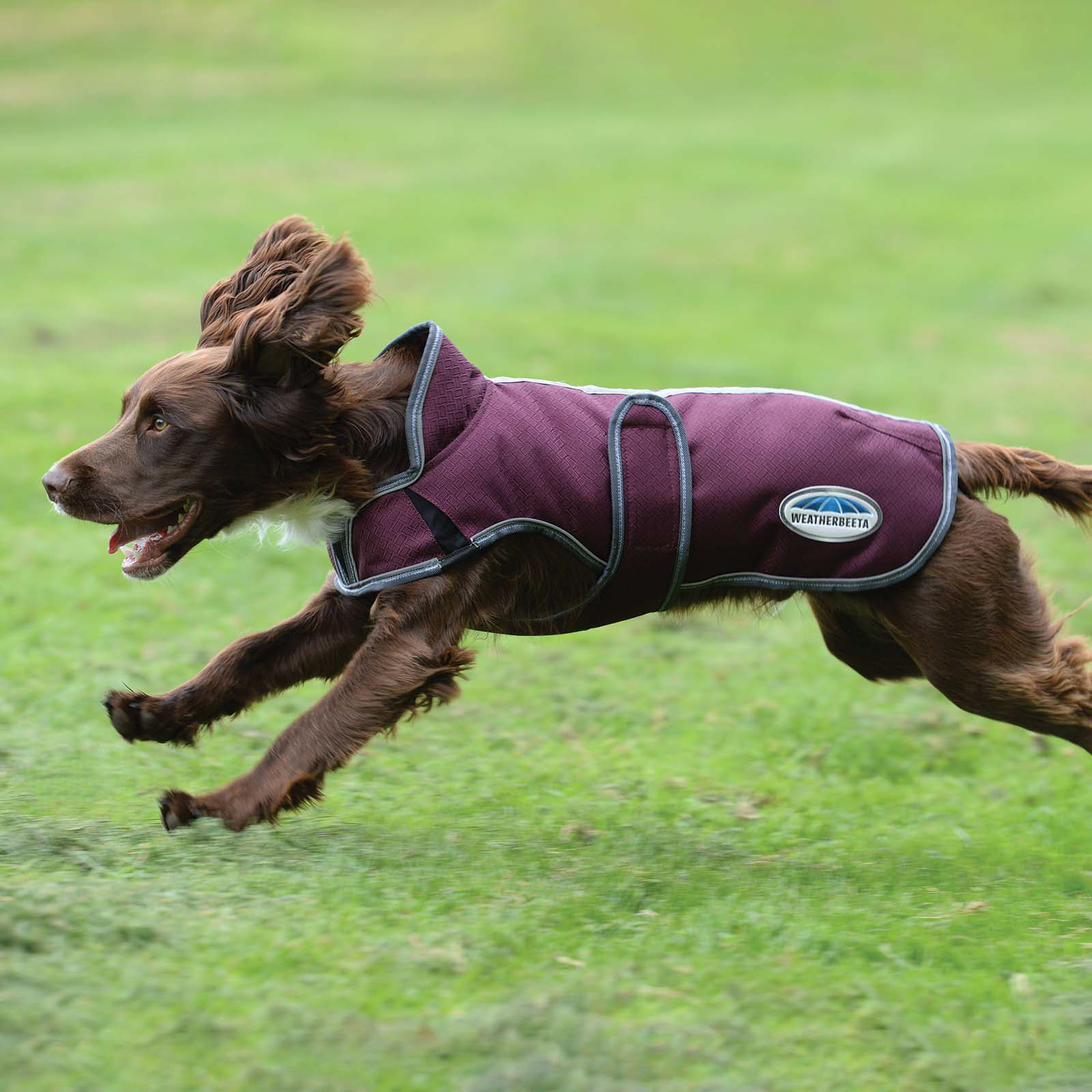 Weatherbeeta Comfitec Premier Free Parka Deluxe hundefrakke, 220 gr