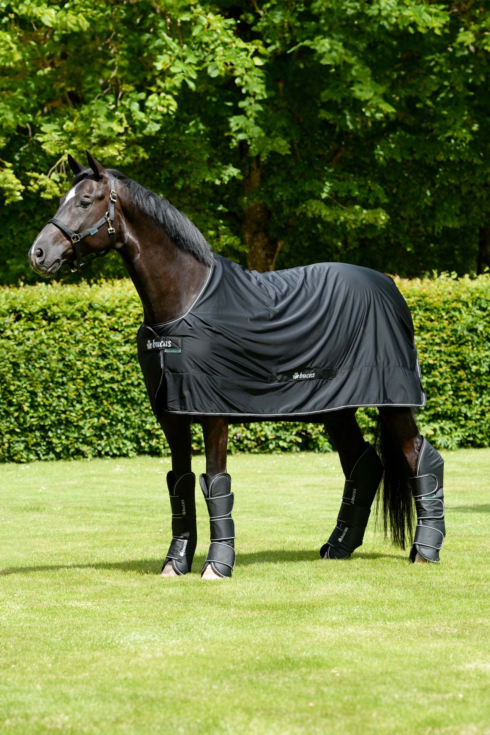 Bucas Freedom transportgamacher