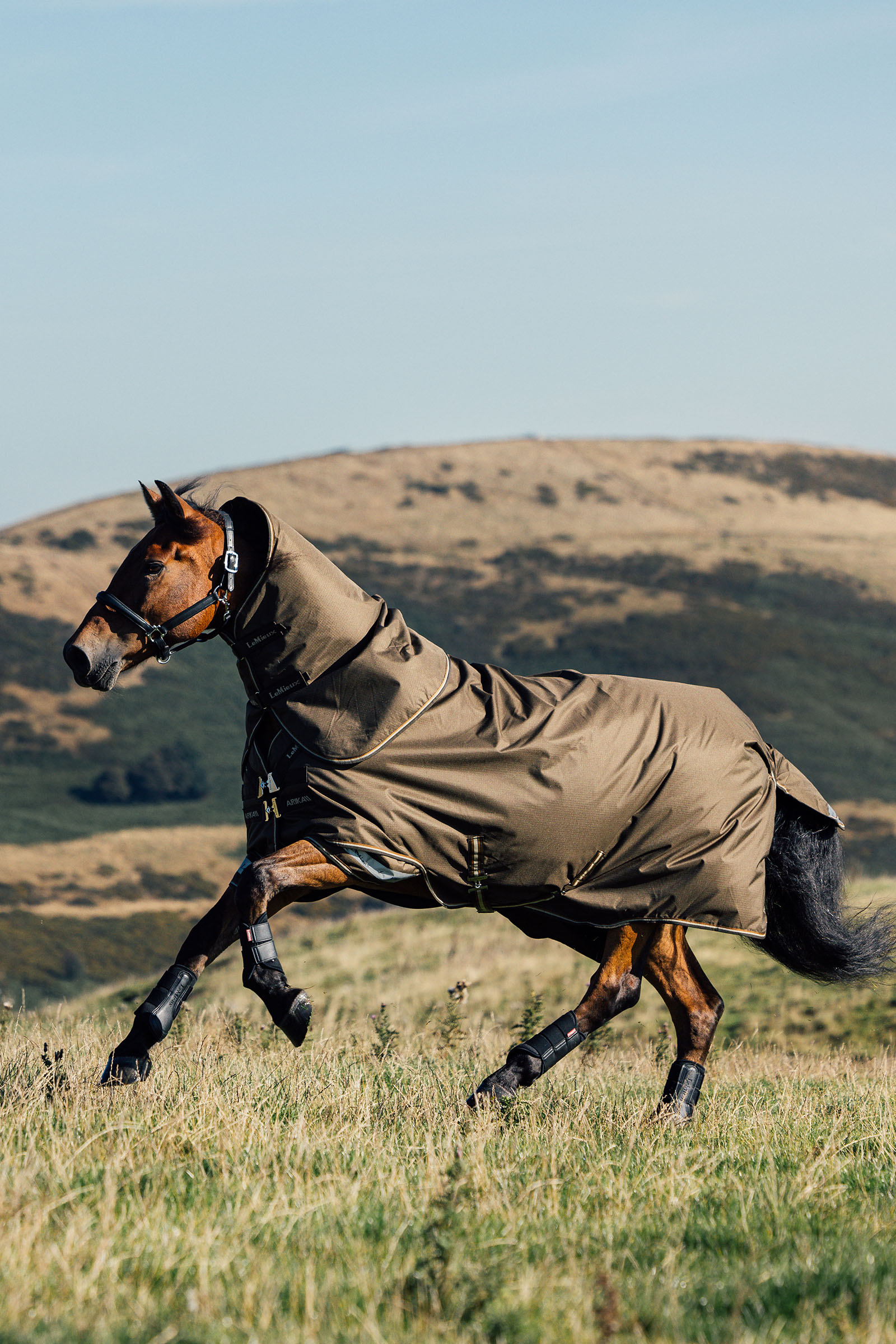 LeMieux Arika Ripstop Turnout Rug With Detachable Neck, 200 g