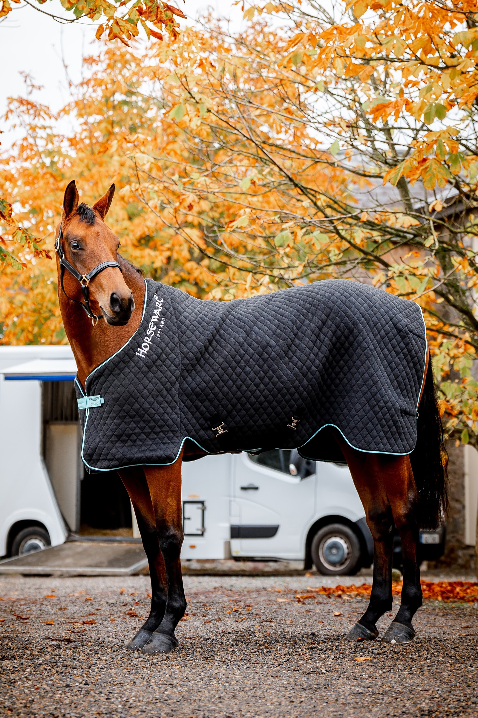 Horseware Autumn Cooler-dækken