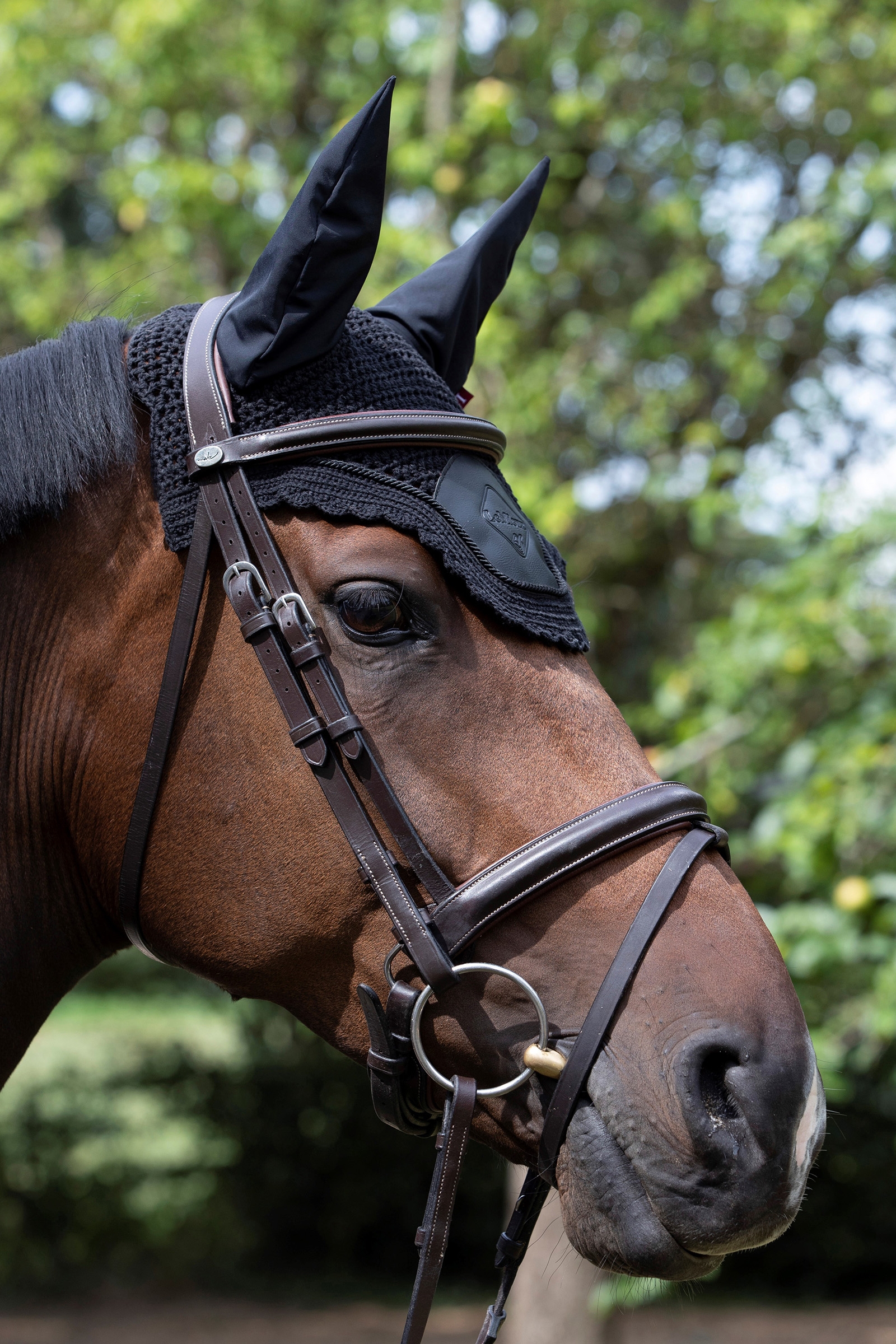 LeMieux Acoustic Pro Hut