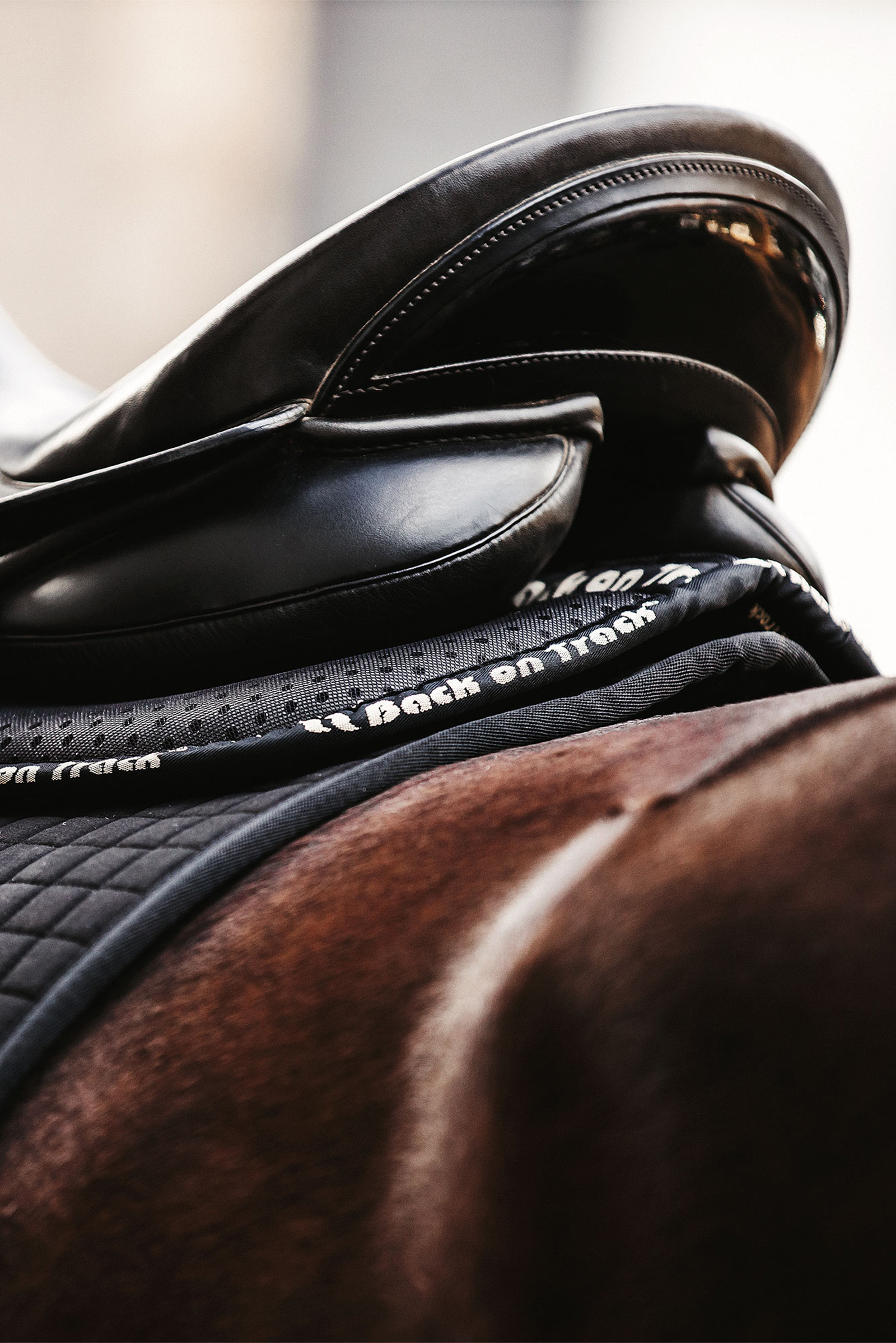 Back on Track Aurora sadel pad