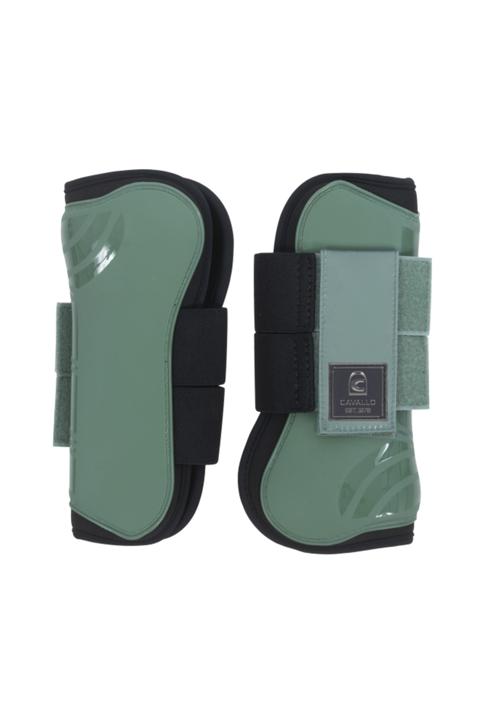 Silver Sage Cavallo CavalHolda gamacher