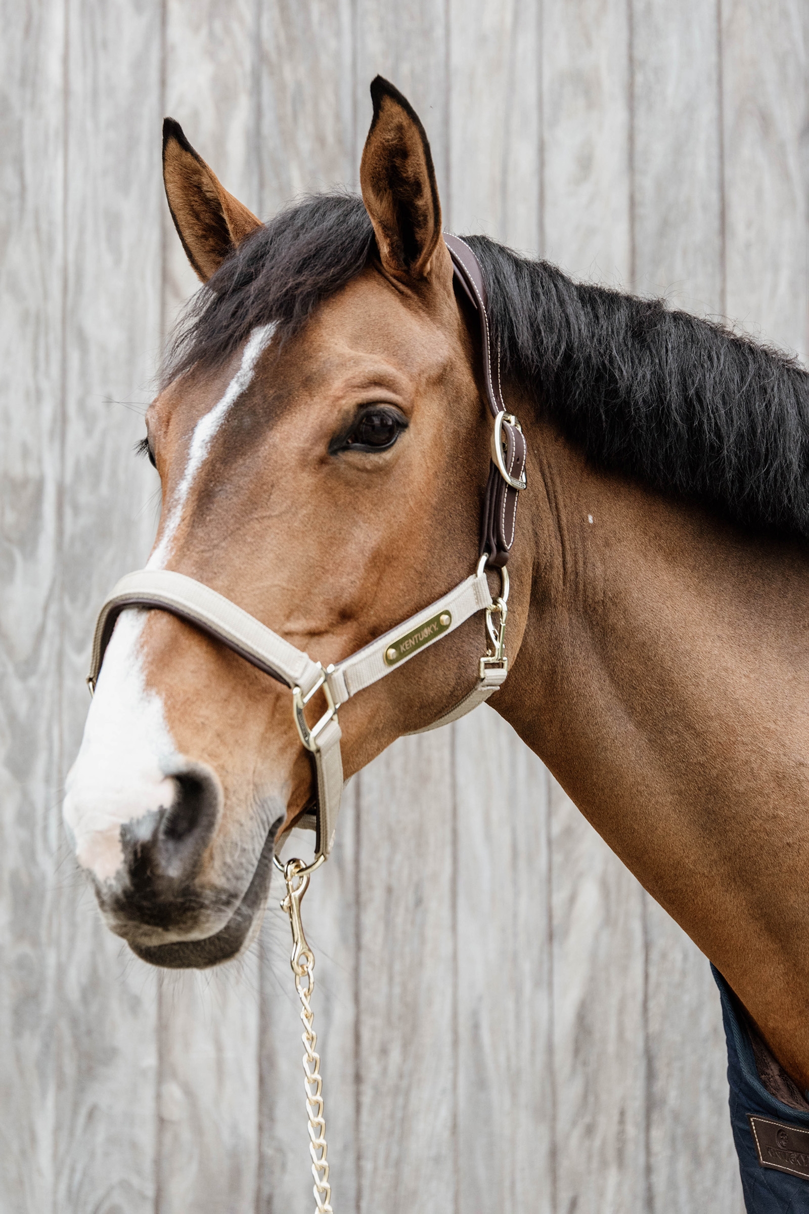 Kentucky Horsewear Anatomic nylongrime