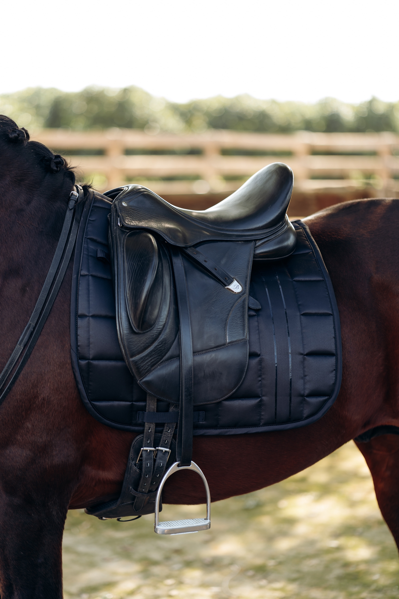 B Vertigo Drew dressurunderlag