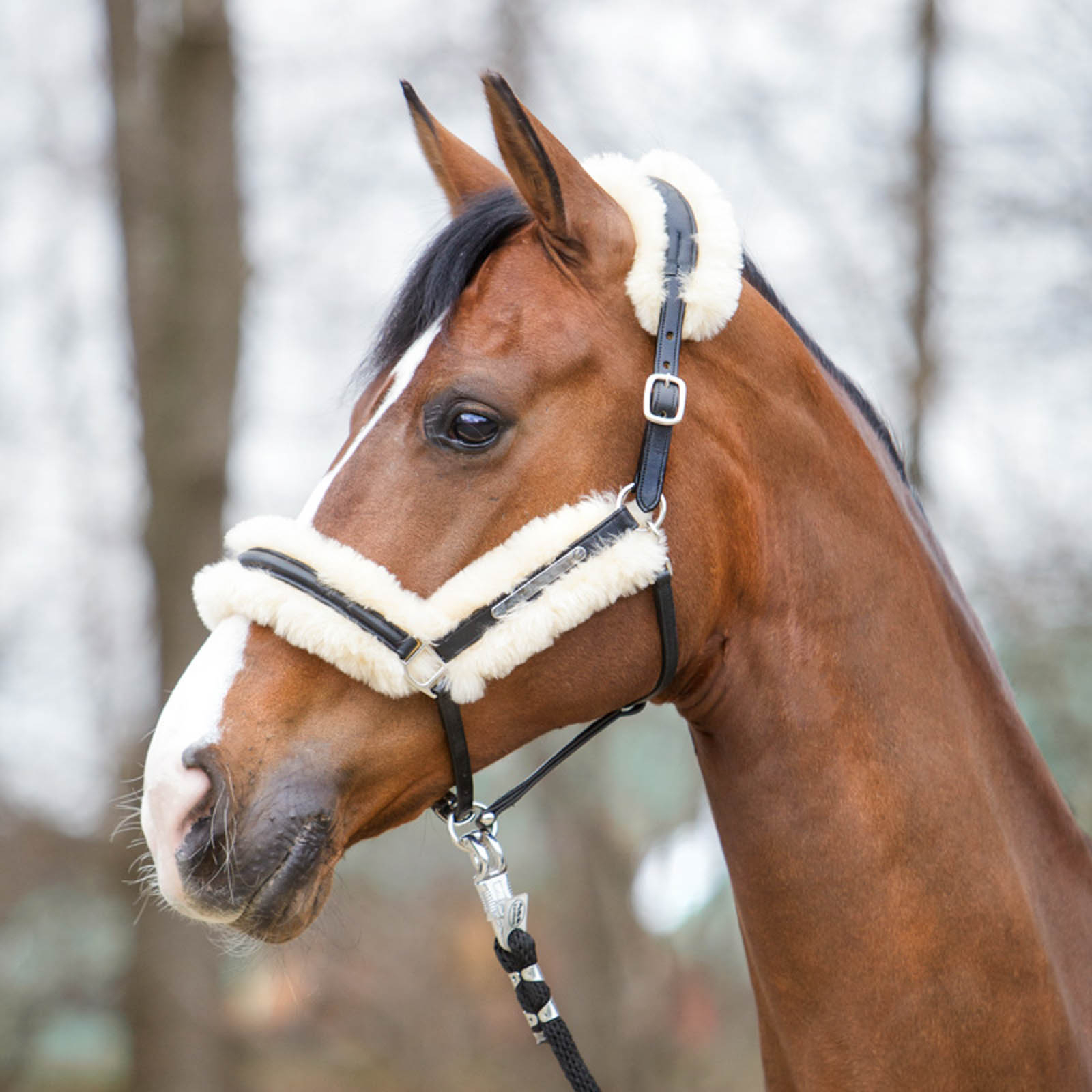 Kavalkade Marvellous L&aelig;dergrime med Lammeskind
